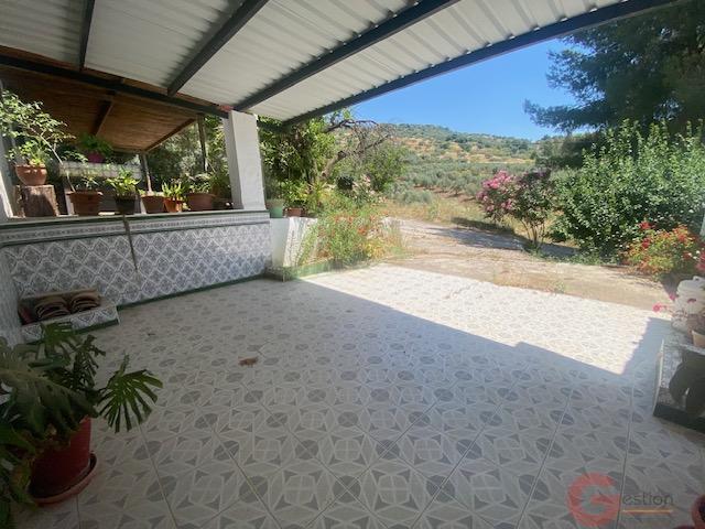 Terraza