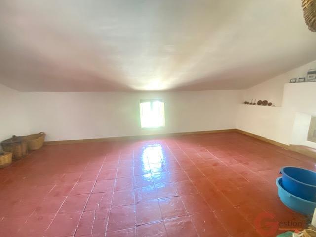 Venta de finca rústica en Comares