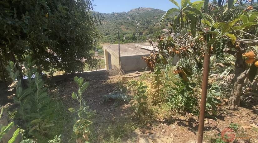 Venta de finca rústica en Comares