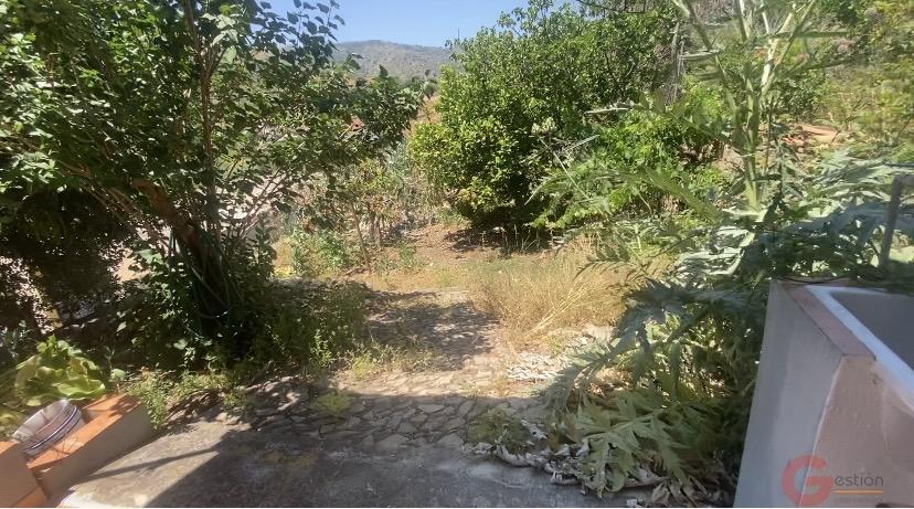 Venta de finca rústica en Comares