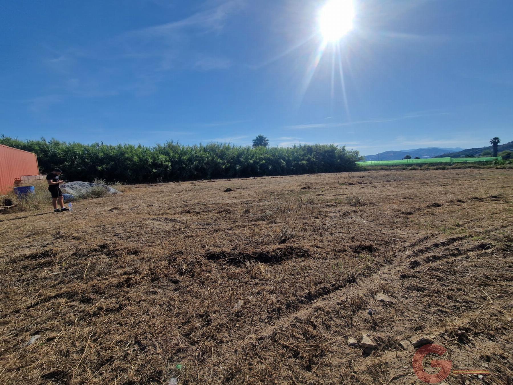 Venta de finca rústica en Motril