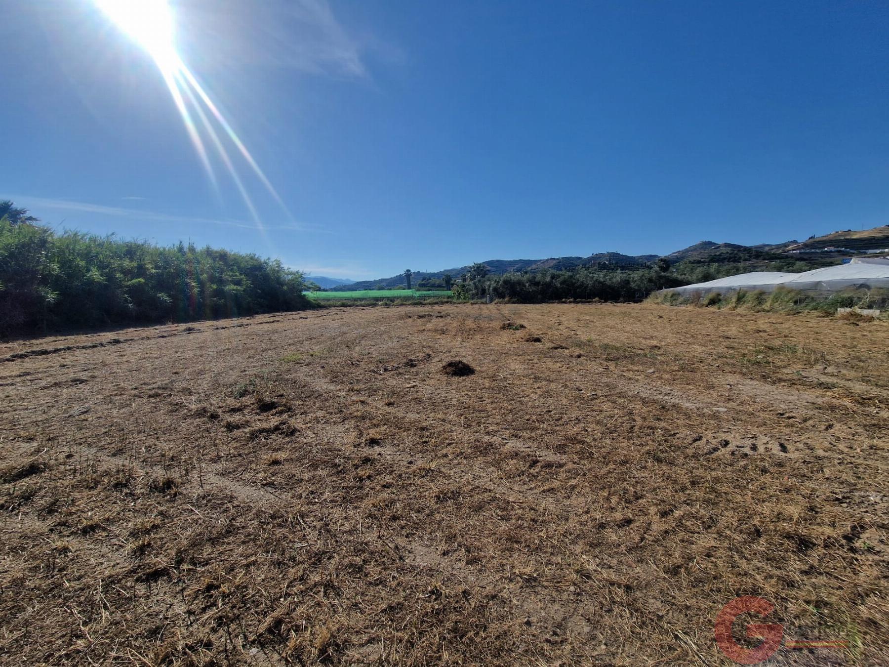 Venta de finca rústica en Motril