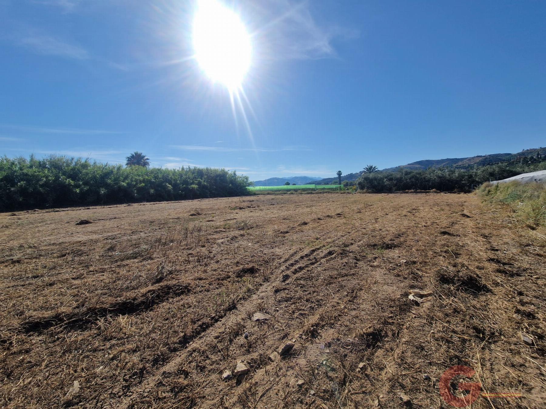 Venta de finca rústica en Motril