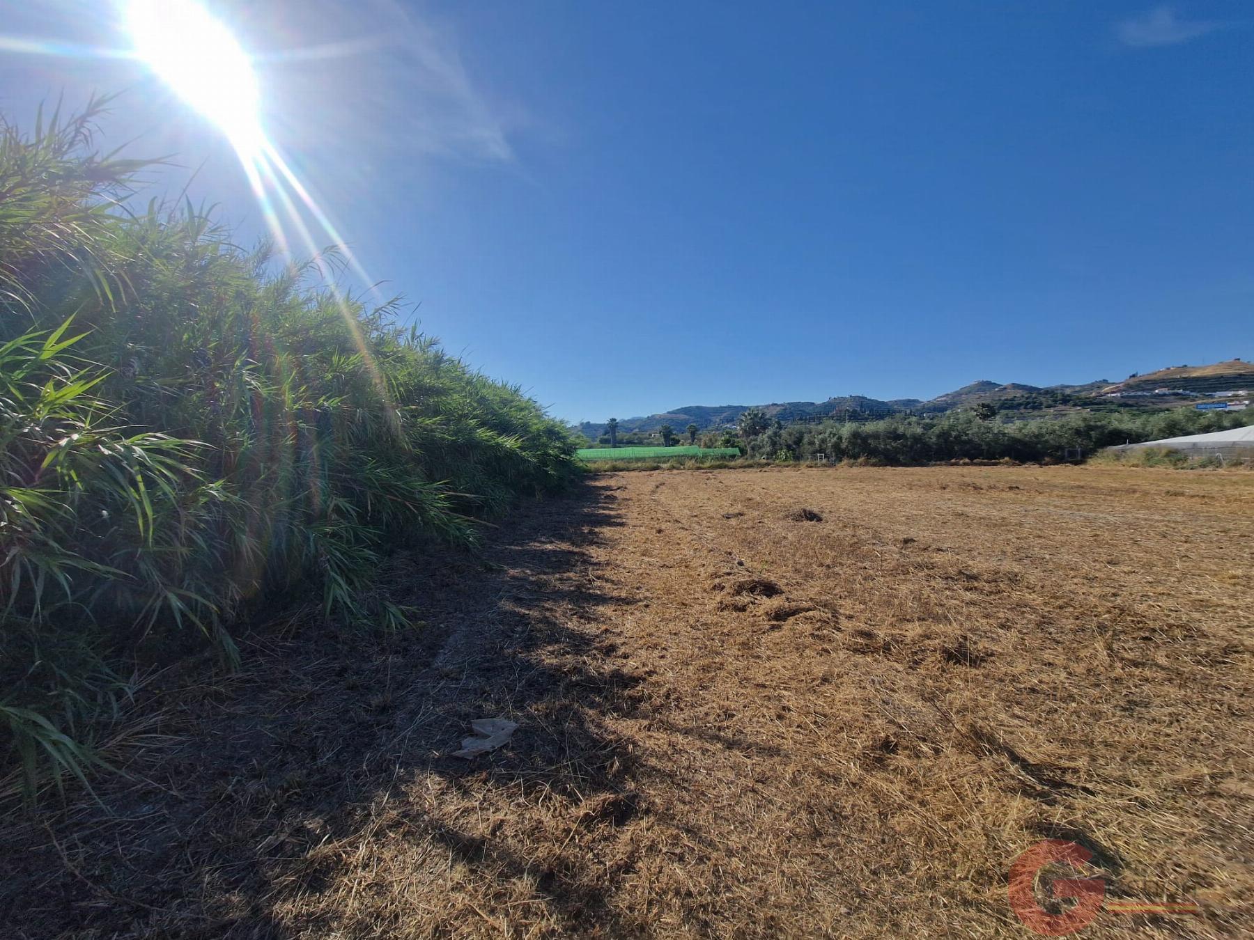 Venta de finca rústica en Motril