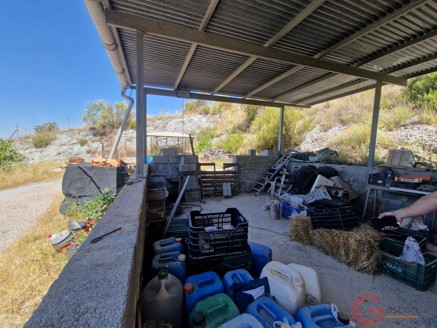 Venta de finca rústica en Motril