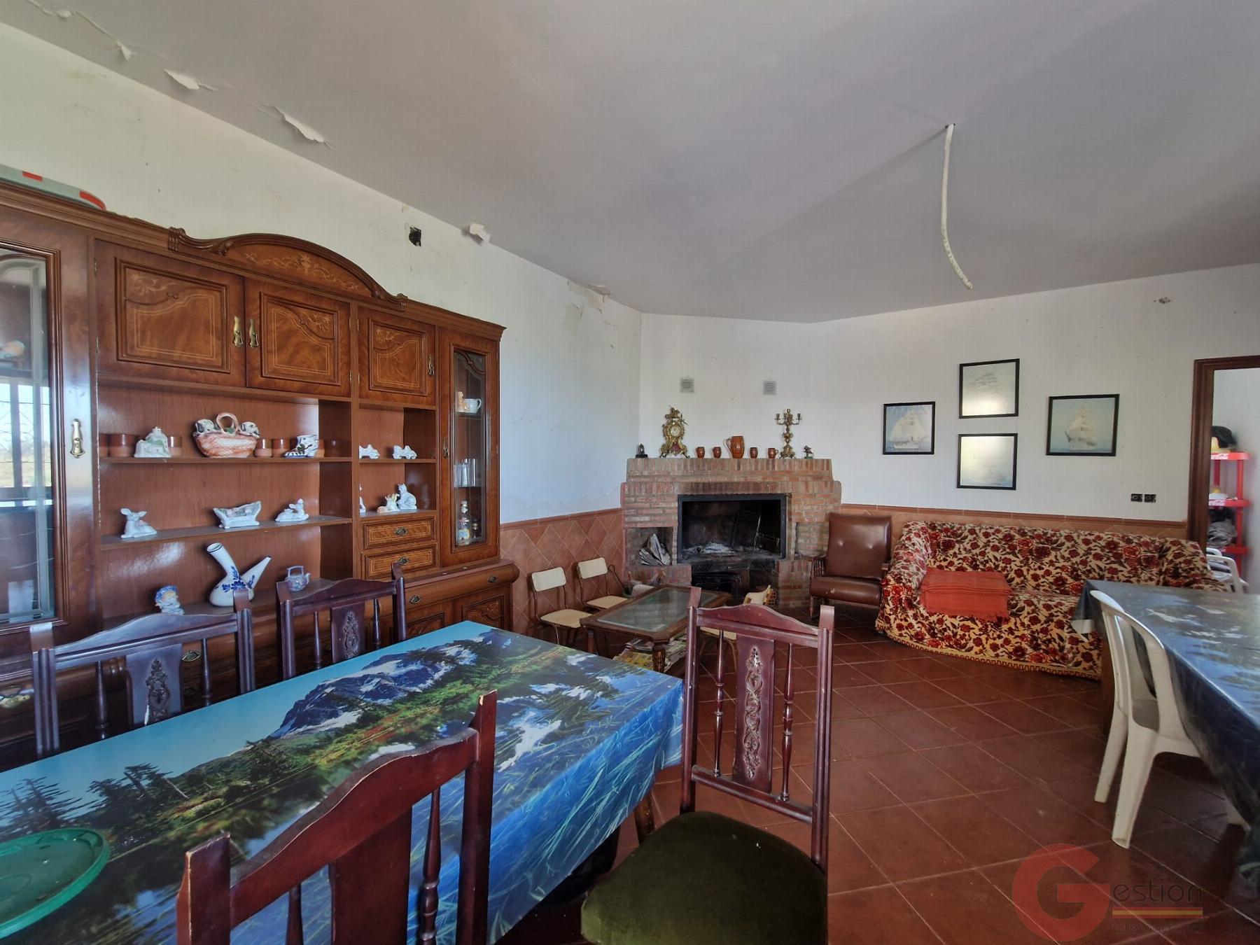 Venta de finca rústica en Motril