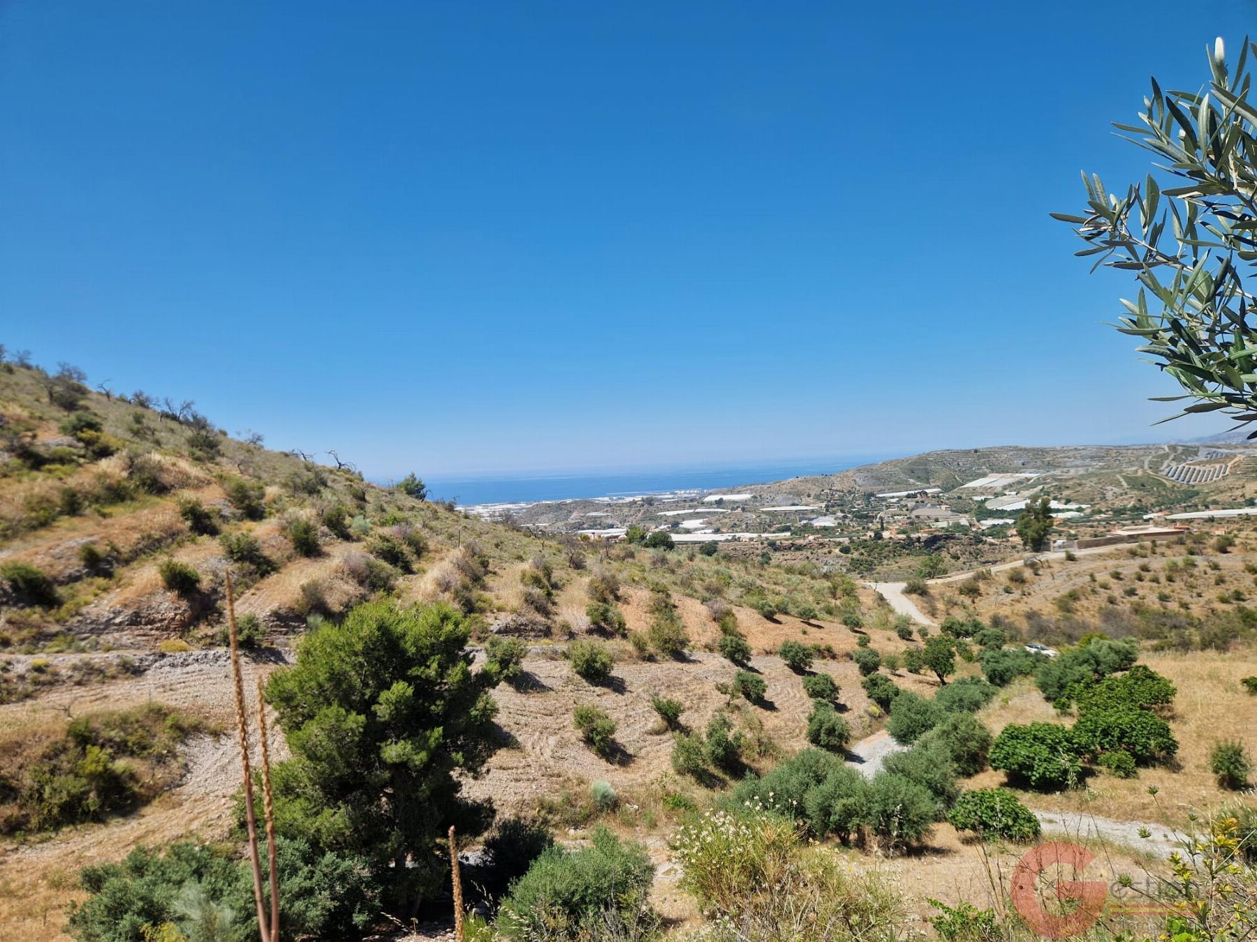 Venta de finca rústica en Motril