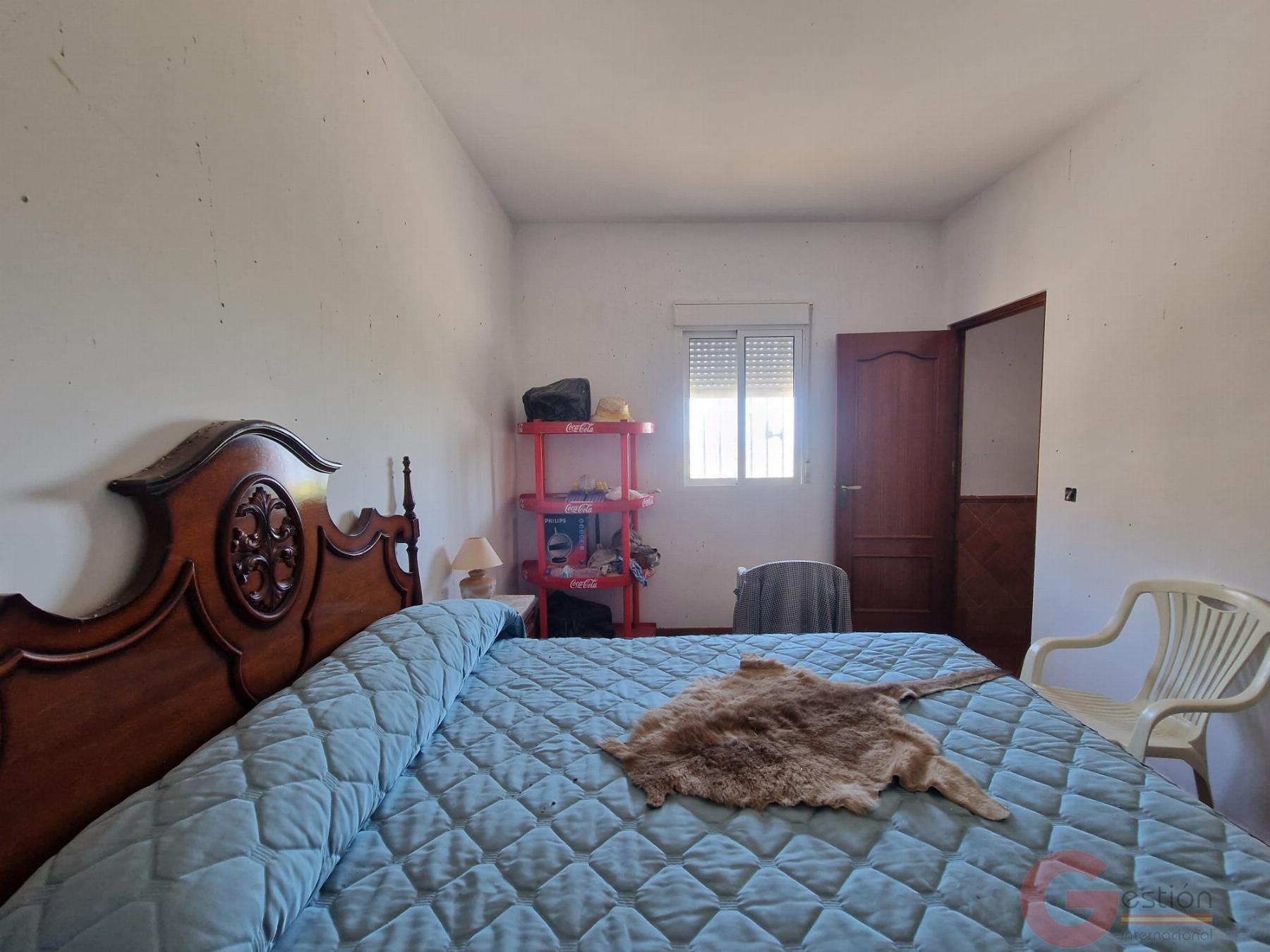Venta de finca rústica en Motril