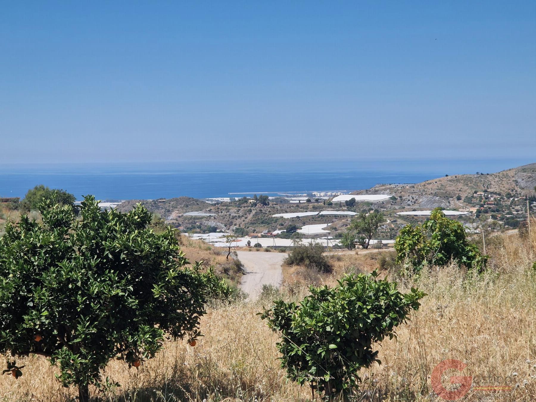 Venta de finca rústica en Motril