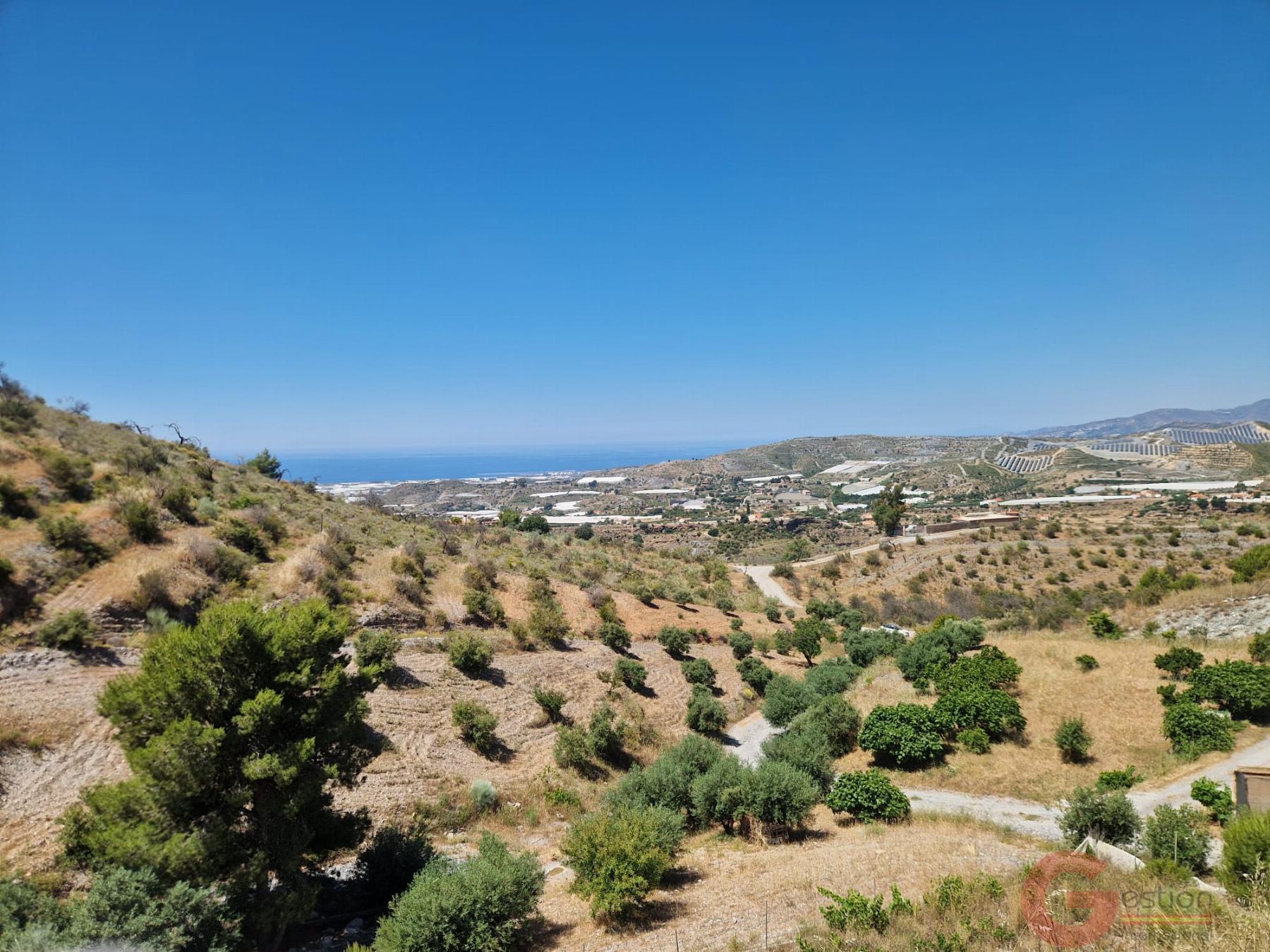 Venta de finca rústica en Motril