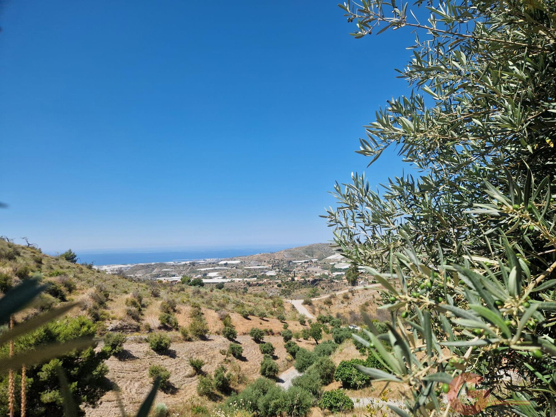 Venta de finca rústica en Motril