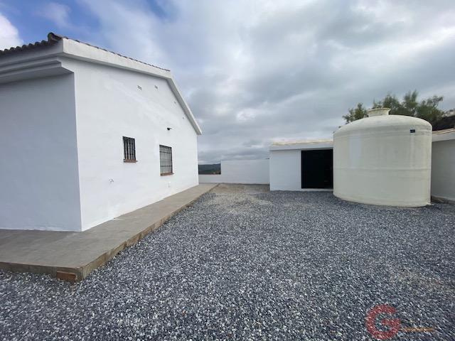 Venta de finca rústica en Cútar