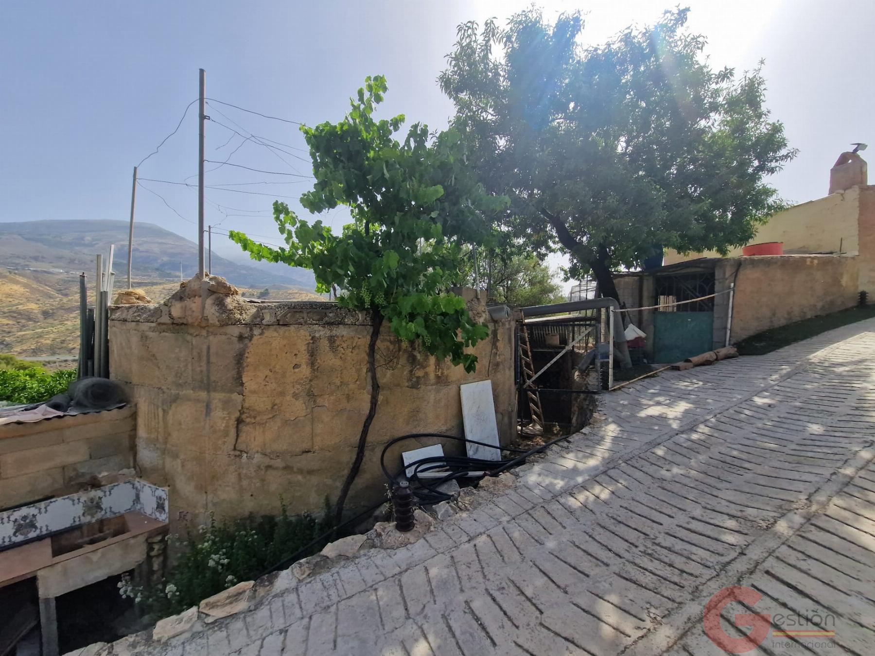Venta de finca rústica en Vélez de Benaudalla