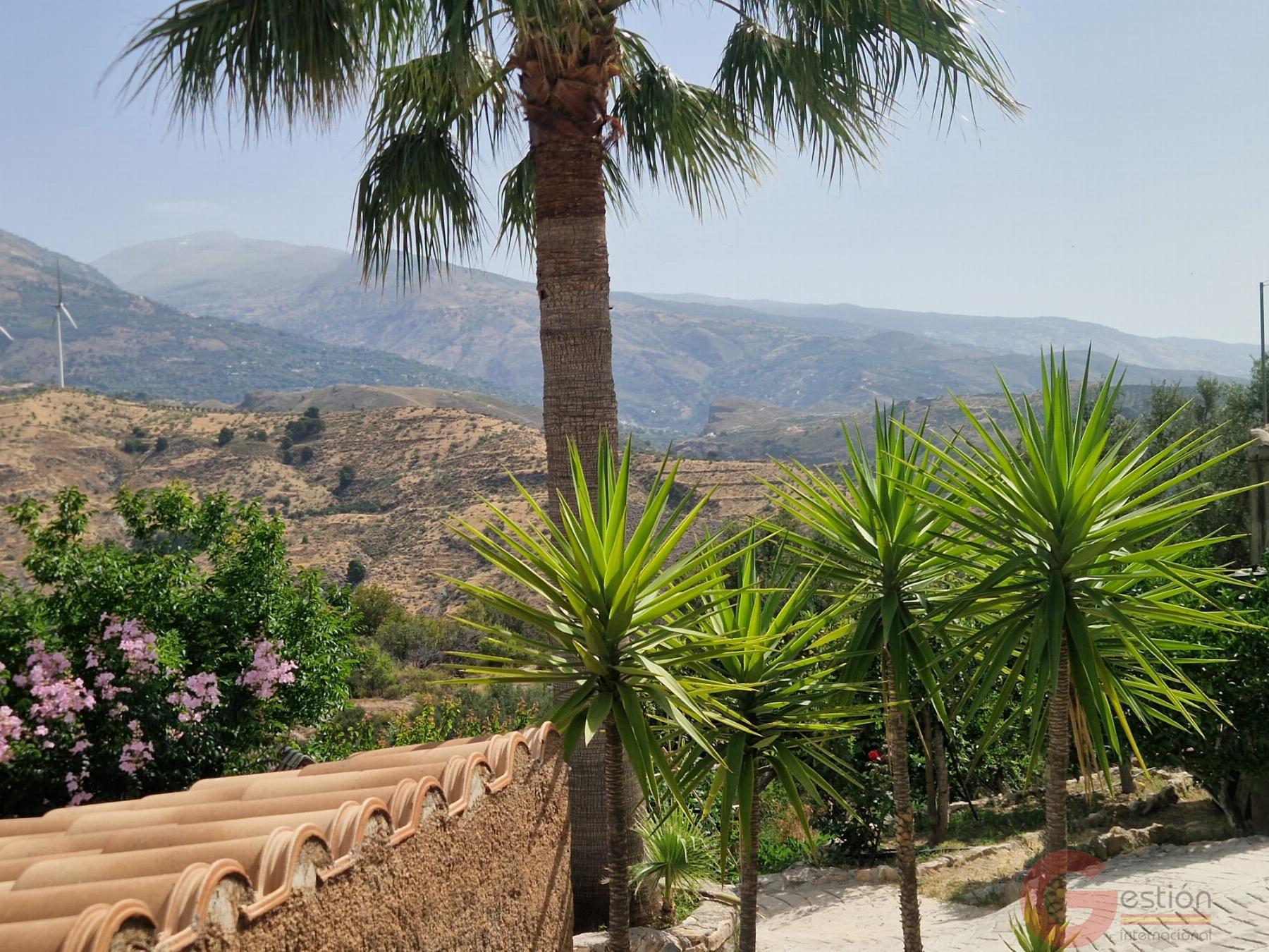 Venta de finca rústica en Vélez de Benaudalla