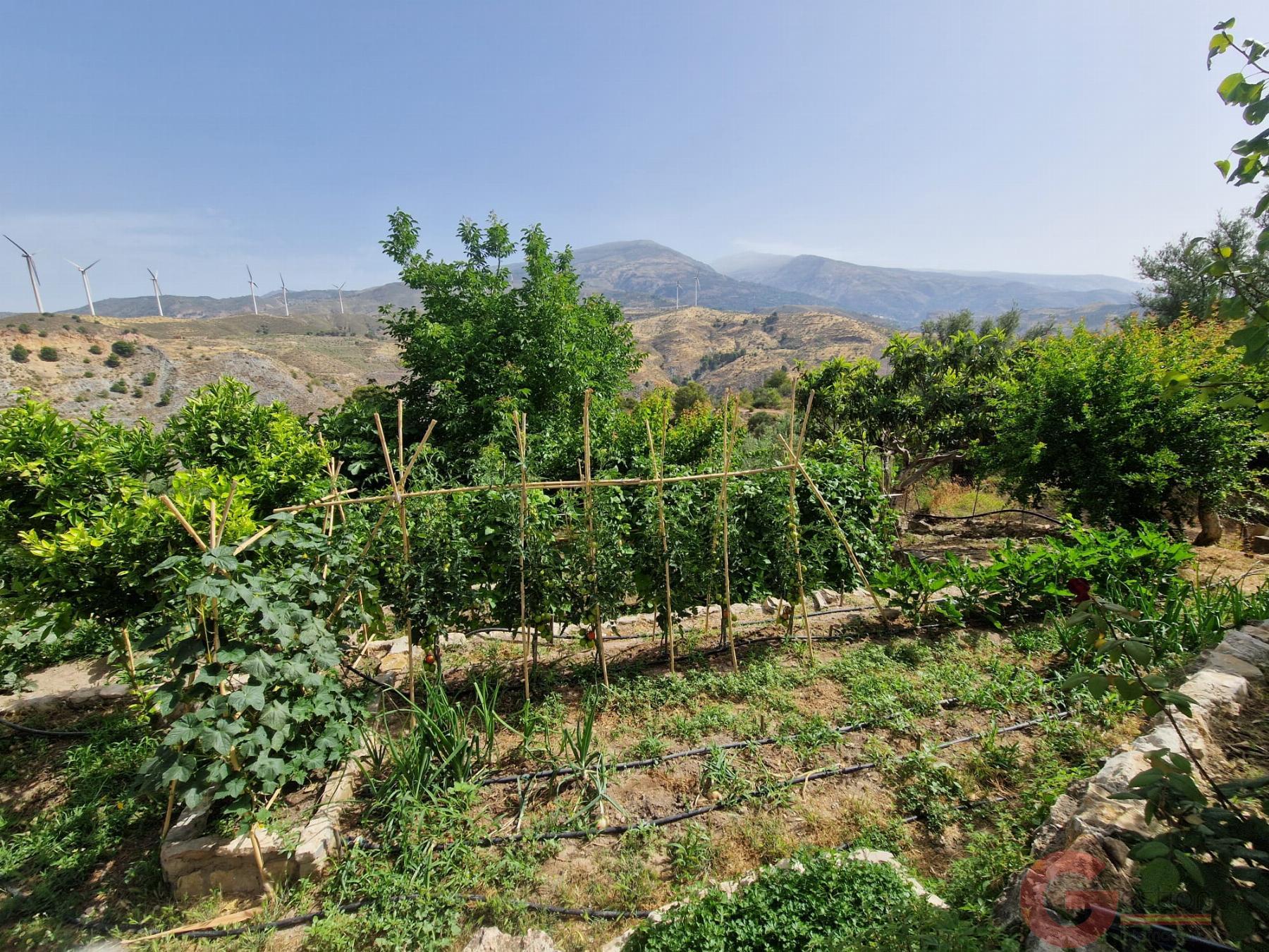 Venta de finca rústica en Vélez de Benaudalla