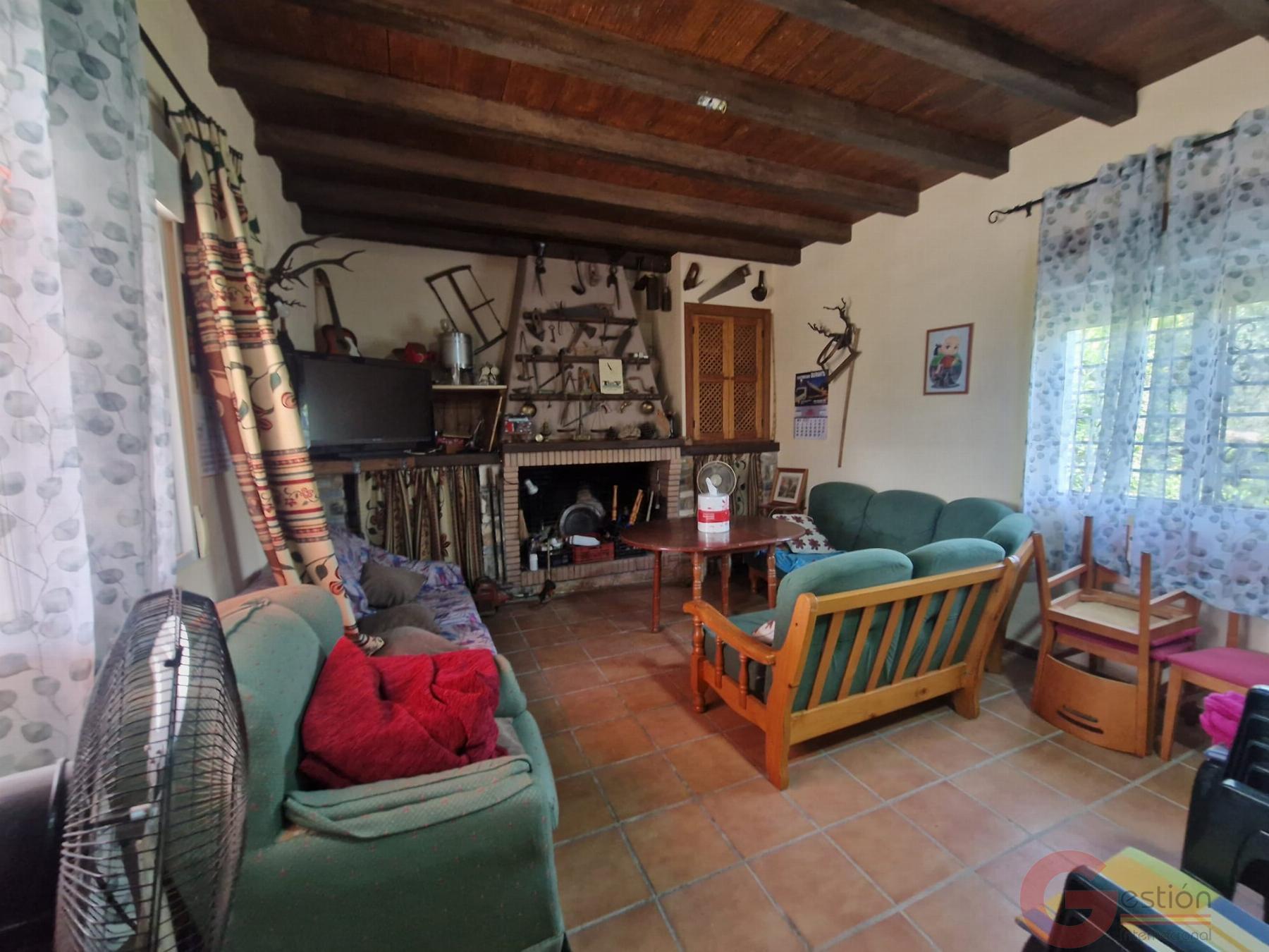 Venta de finca rústica en Vélez de Benaudalla