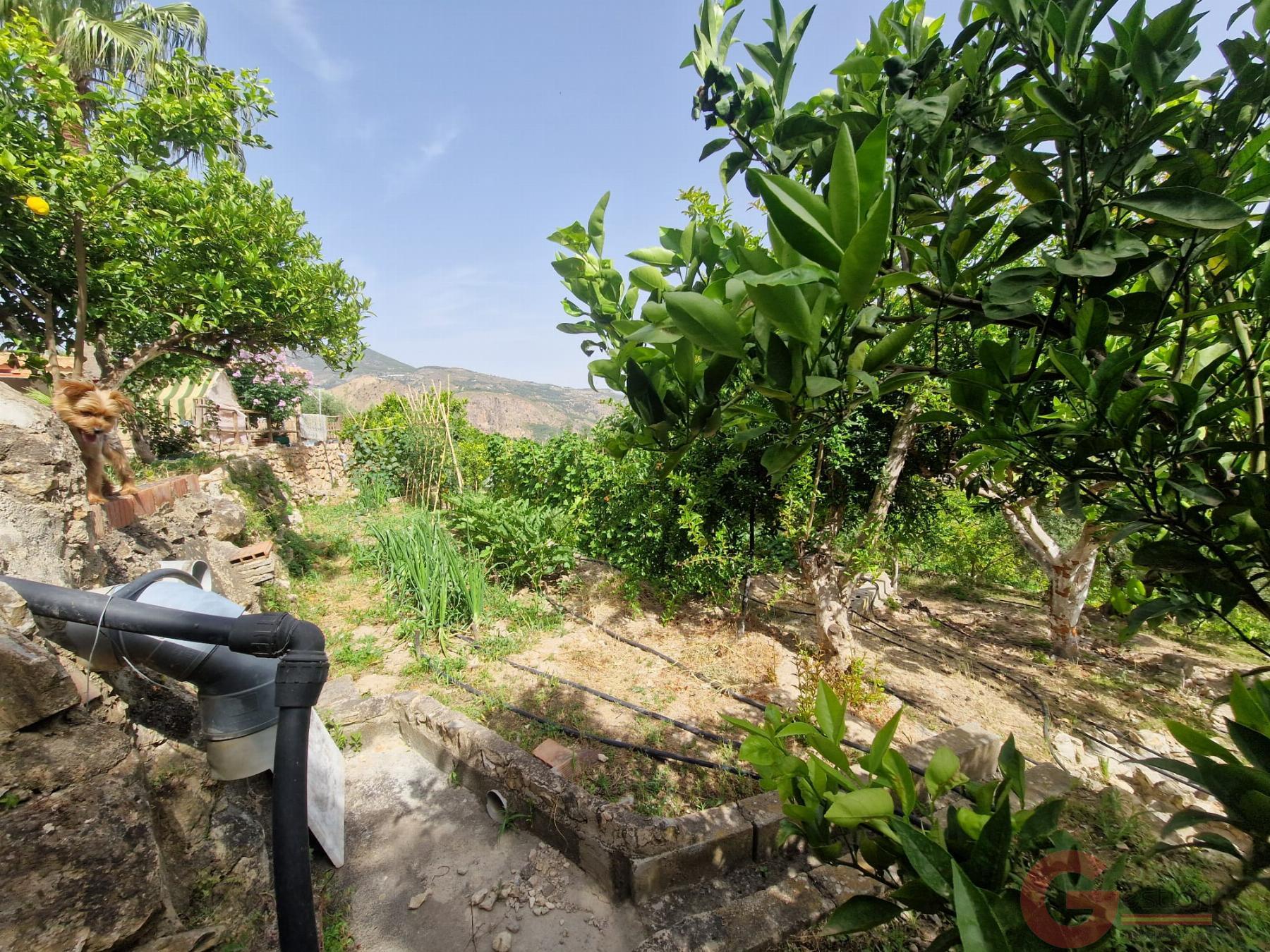 Venta de finca rústica en Vélez de Benaudalla