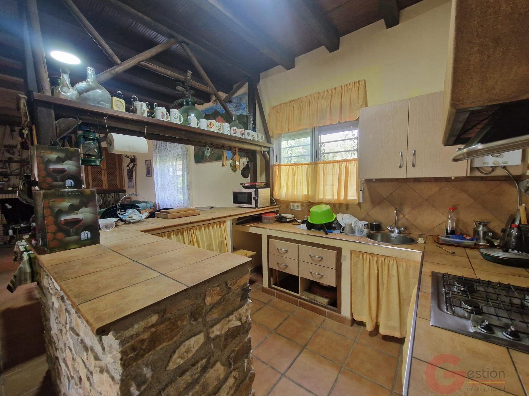 Venta de finca rústica en Vélez de Benaudalla