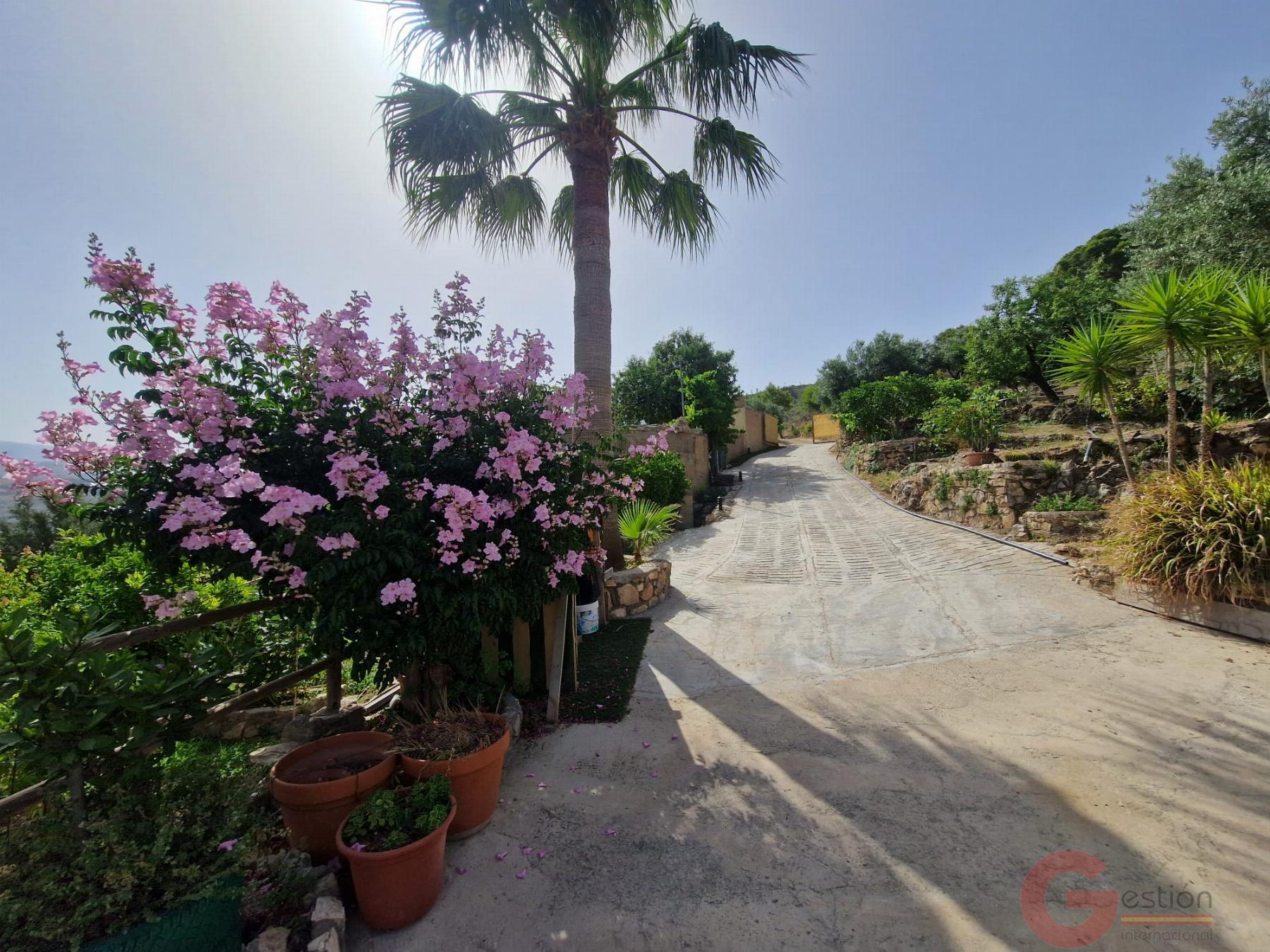 Venta de finca rústica en Vélez de Benaudalla