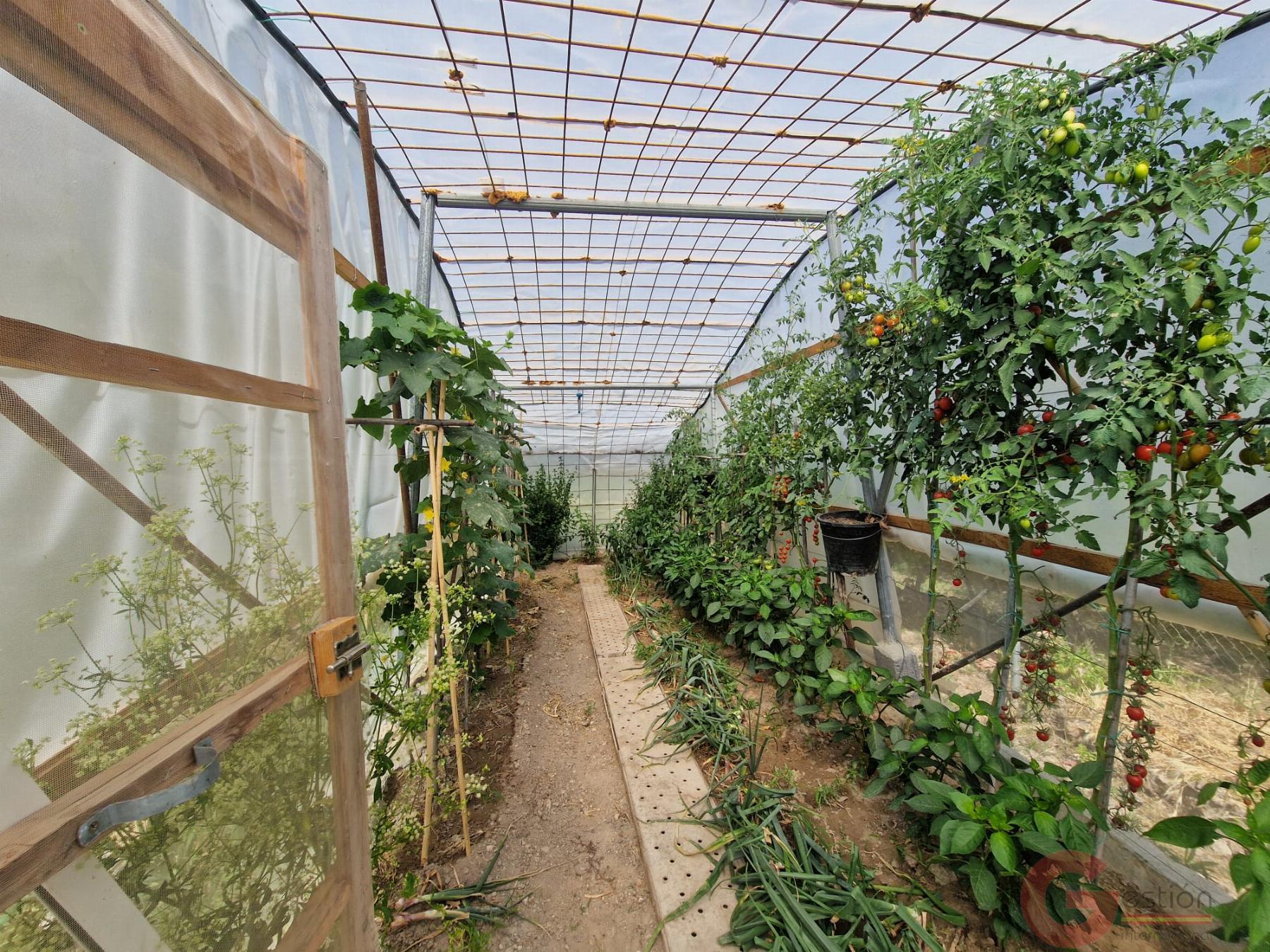 Venta de finca rústica en Vélez de Benaudalla