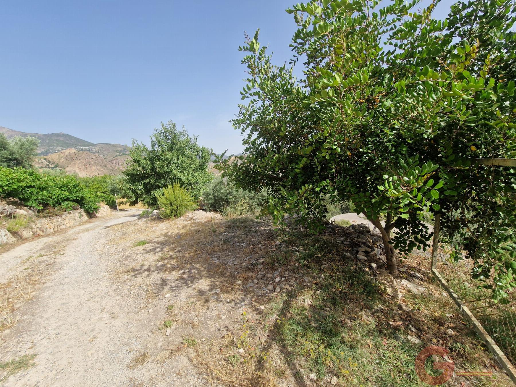 Venta de finca rústica en Vélez de Benaudalla