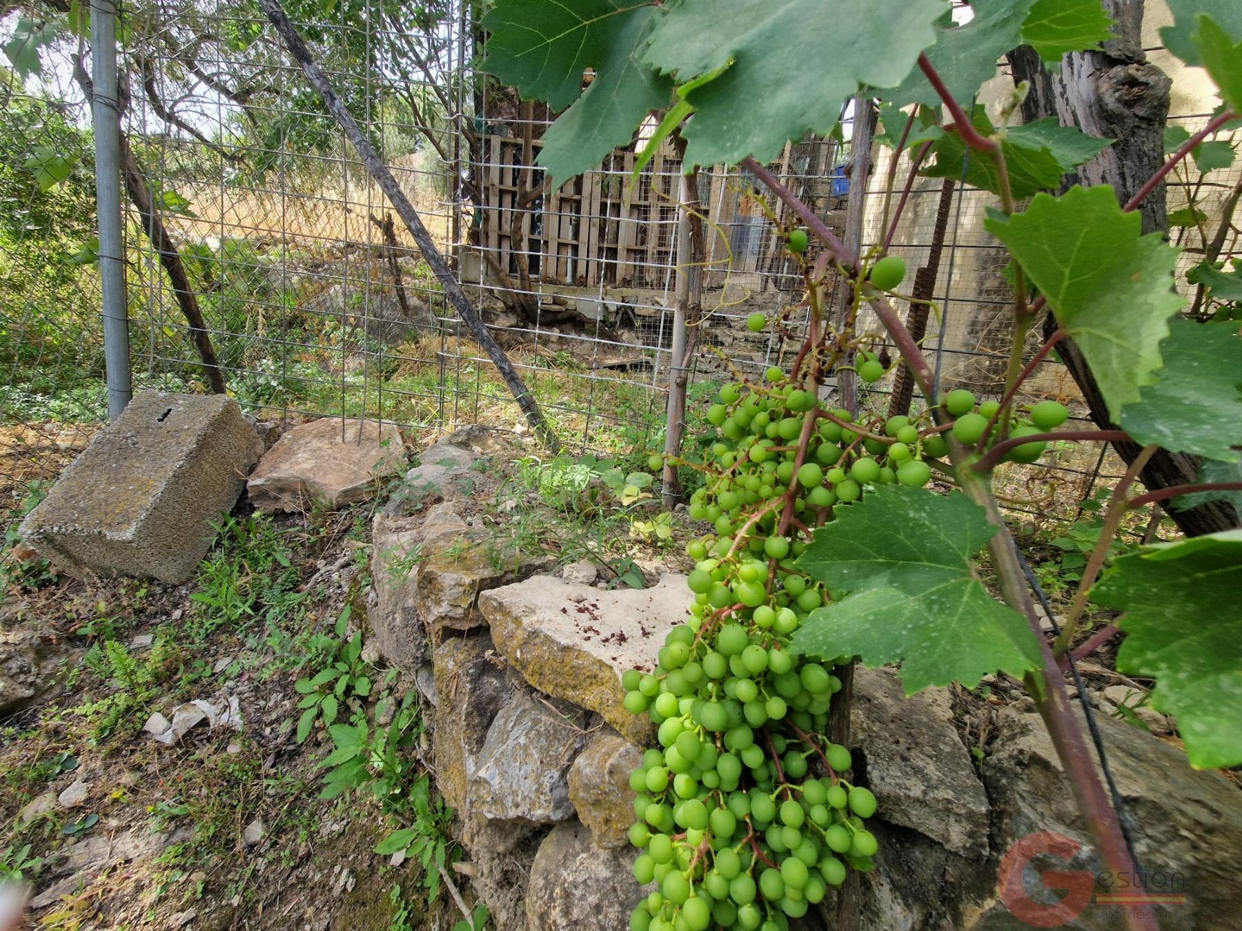 Venta de finca rústica en Vélez de Benaudalla