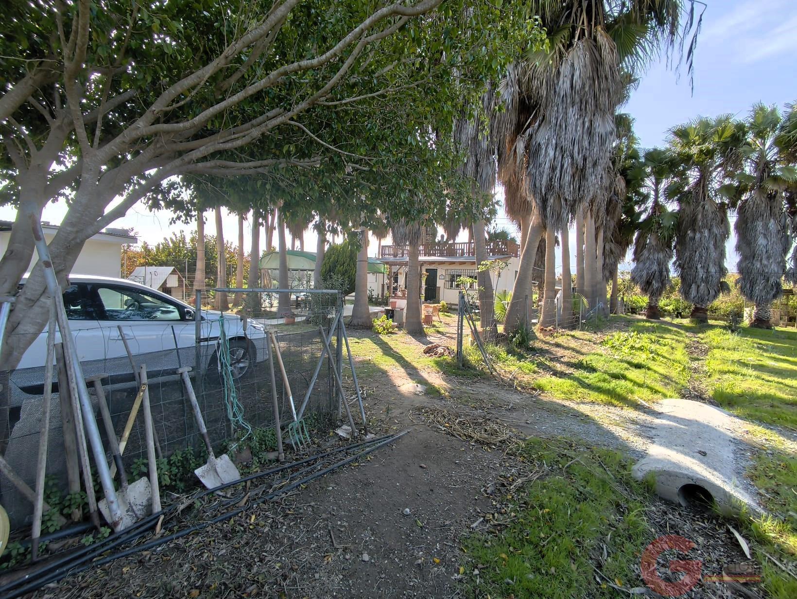 Venta de finca rústica en Motril