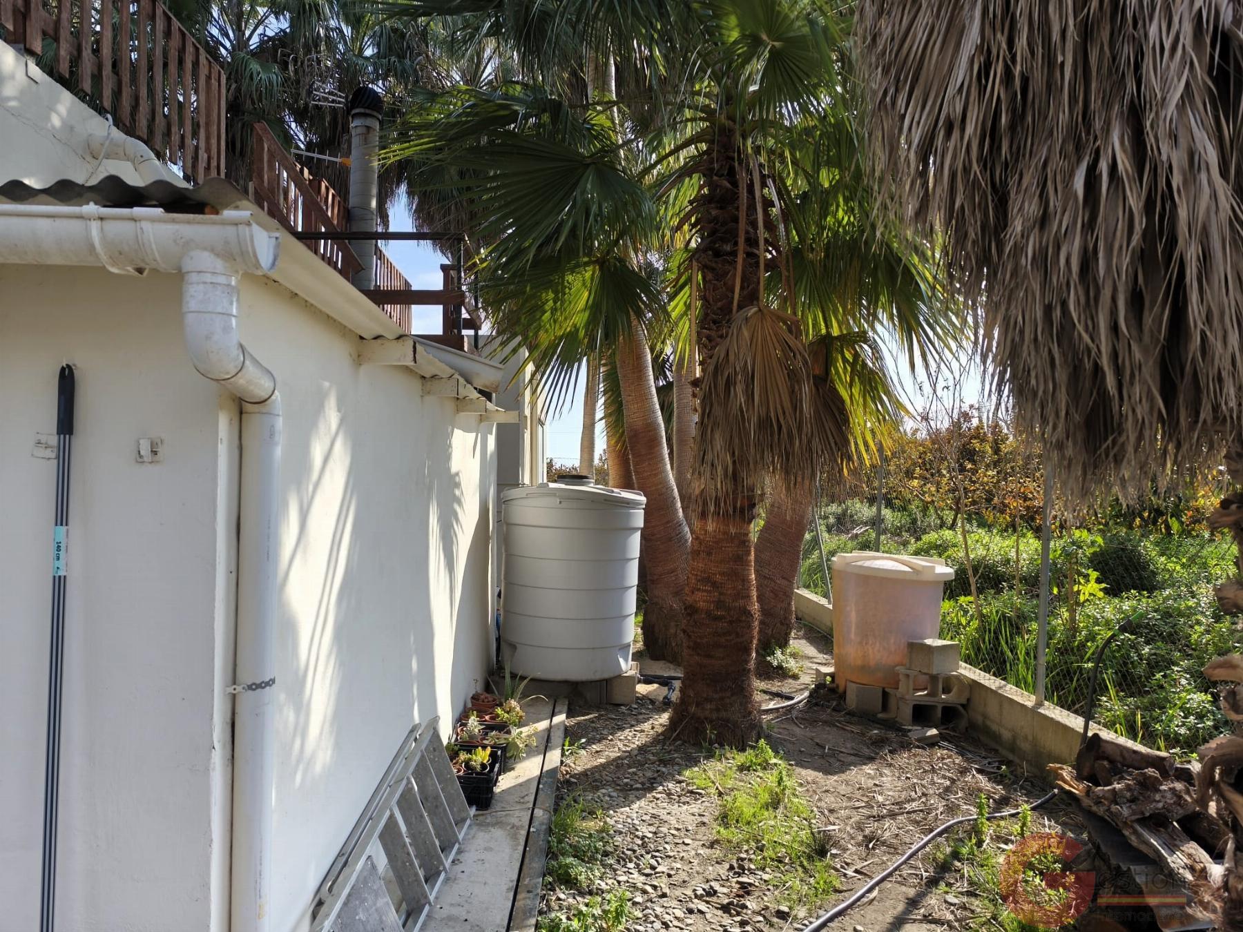 Venta de finca rústica en Motril