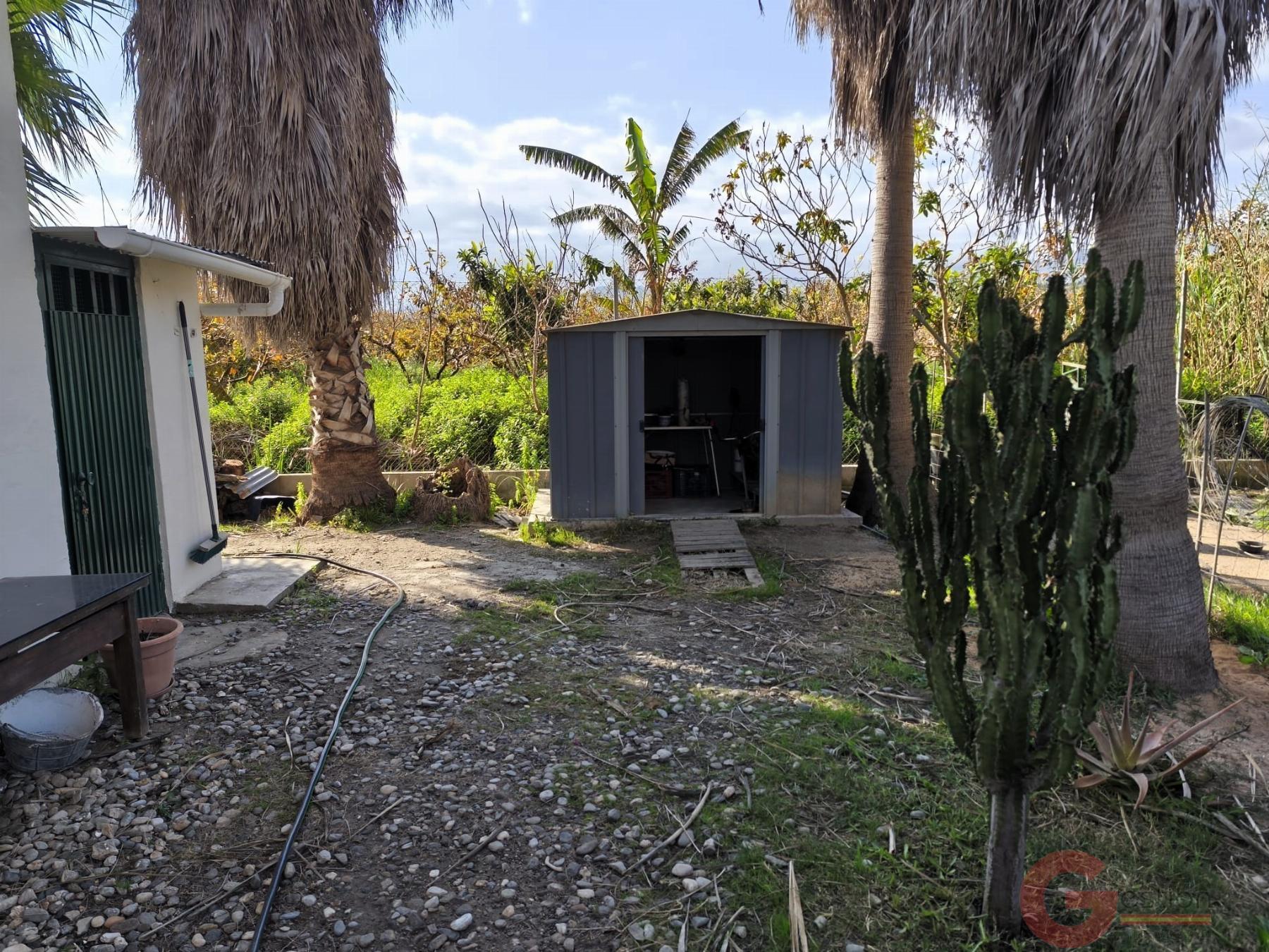 Venta de finca rústica en Motril