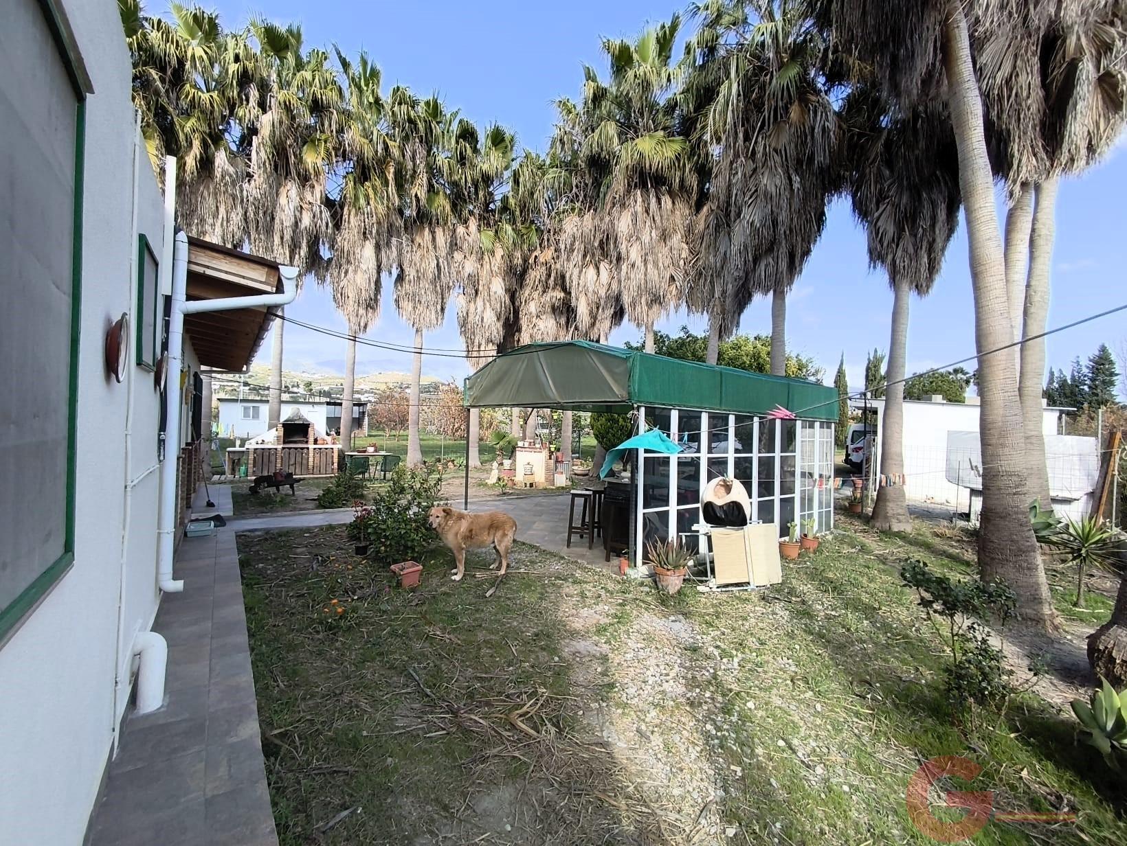 Venta de finca rústica en Motril
