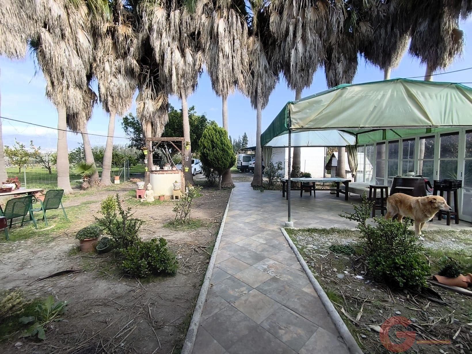 Venta de finca rústica en Motril