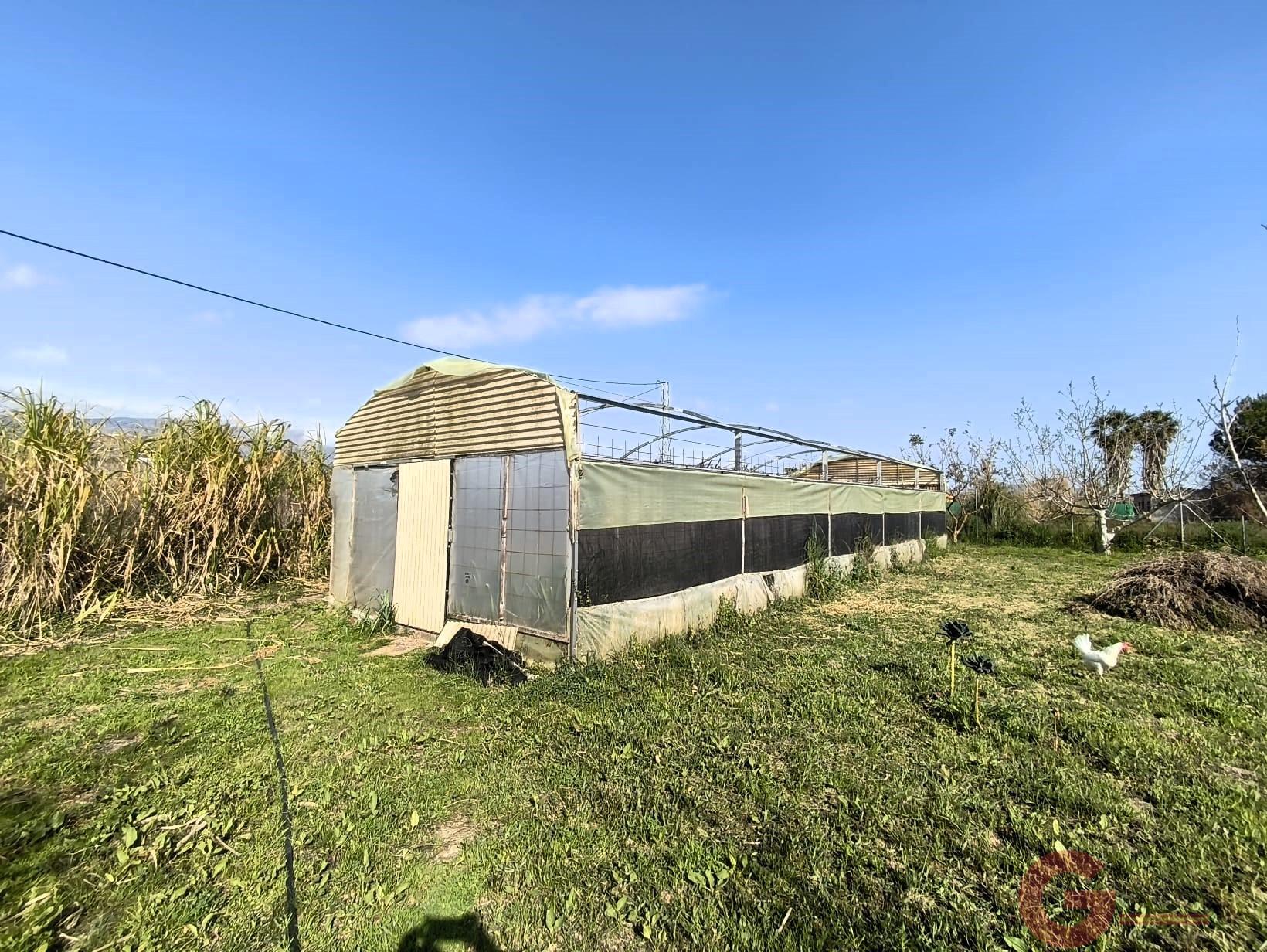 Venta de finca rústica en Motril