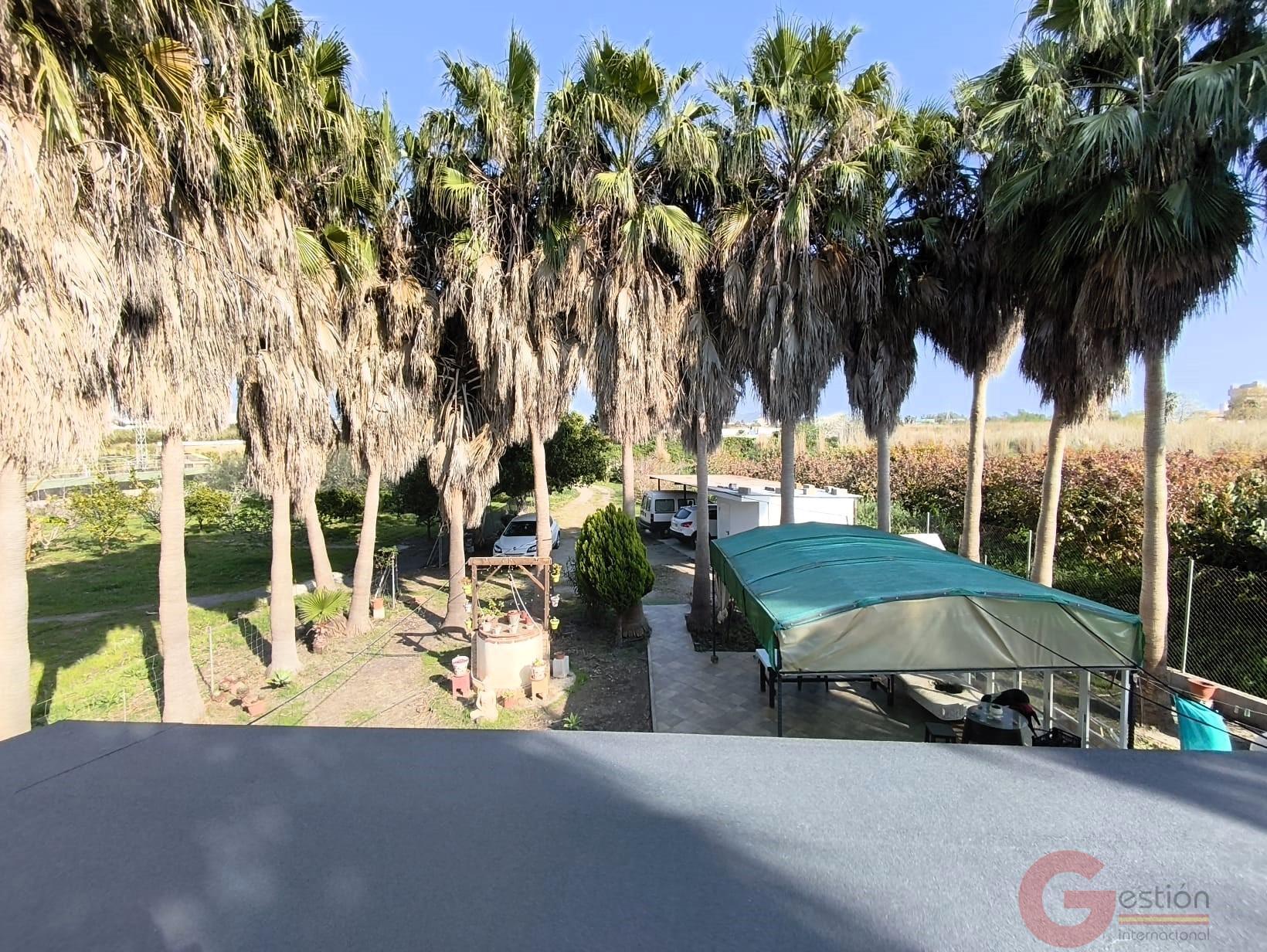 Venta de finca rústica en Motril