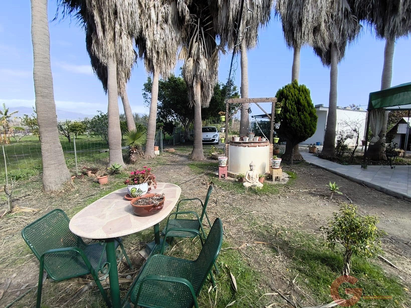 Venta de finca rústica en Motril