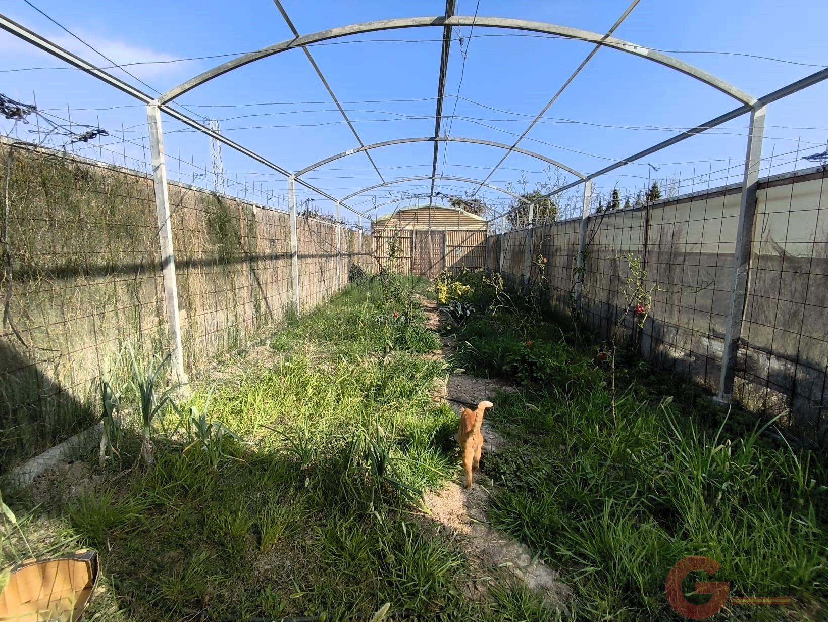 Venta de finca rústica en Motril