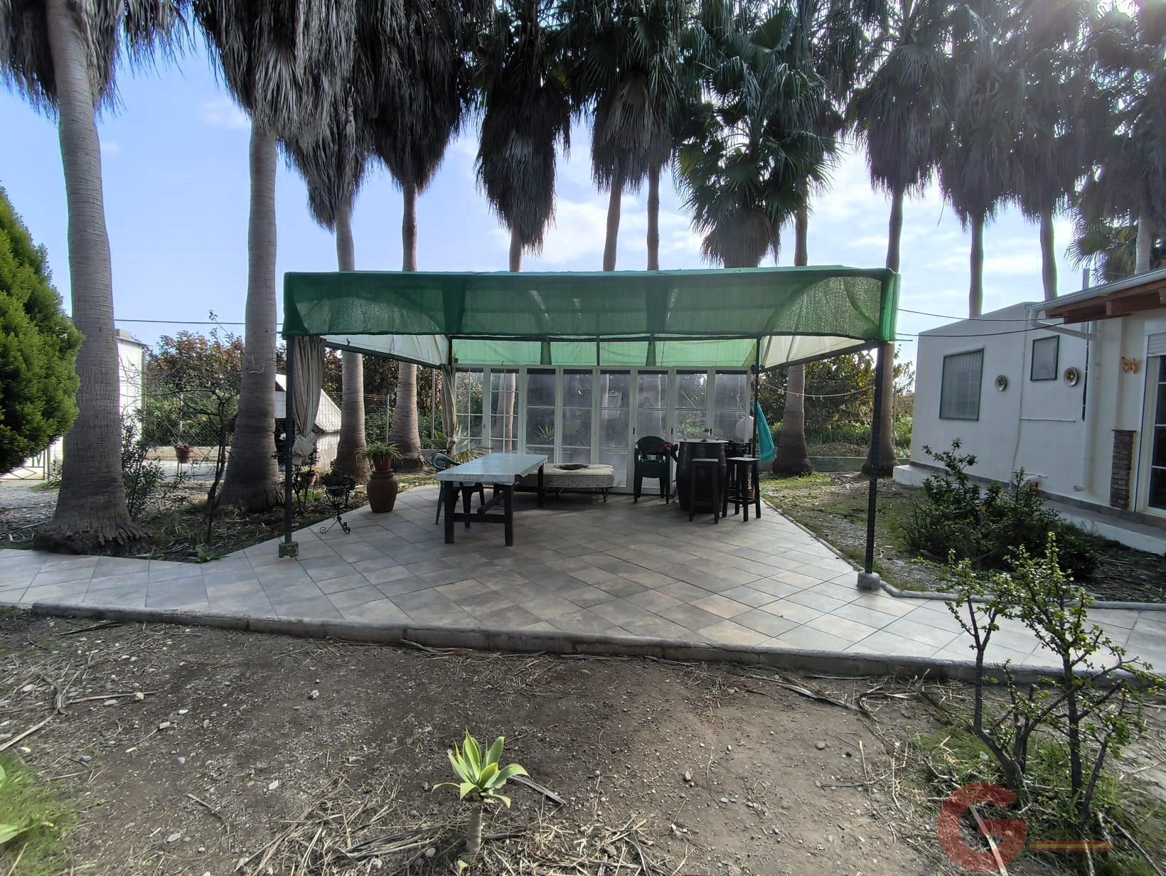 Venta de finca rústica en Motril