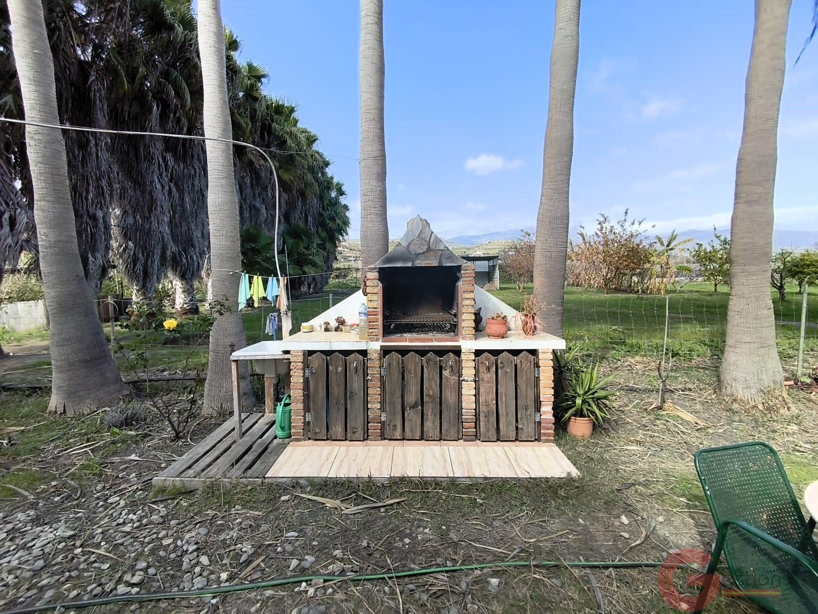 Venta de finca rústica en Motril