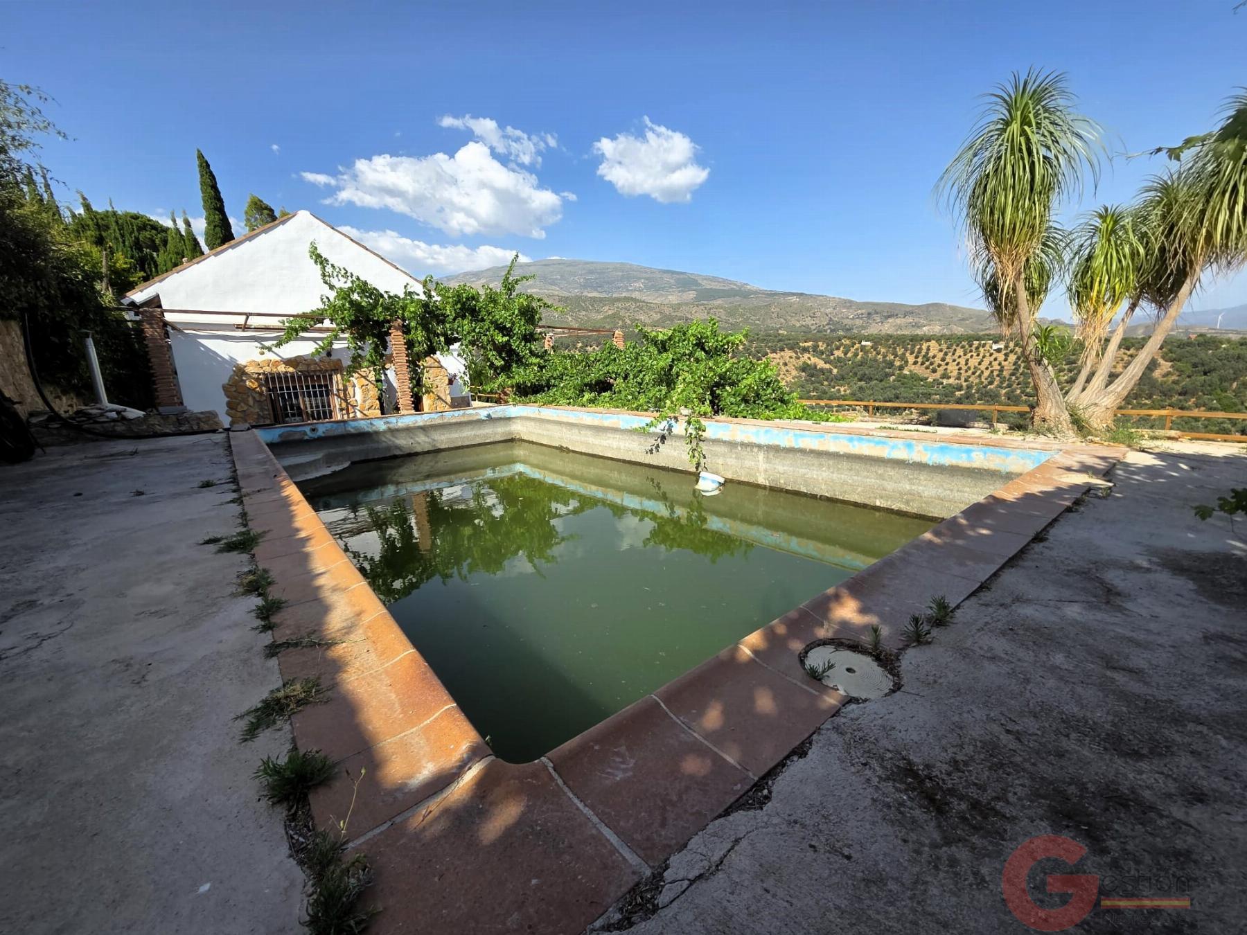 Venta de finca rústica en Murtas