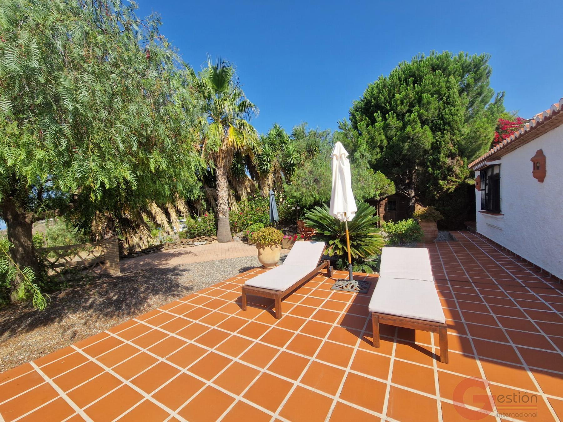 Venta de finca rústica en Salobreña