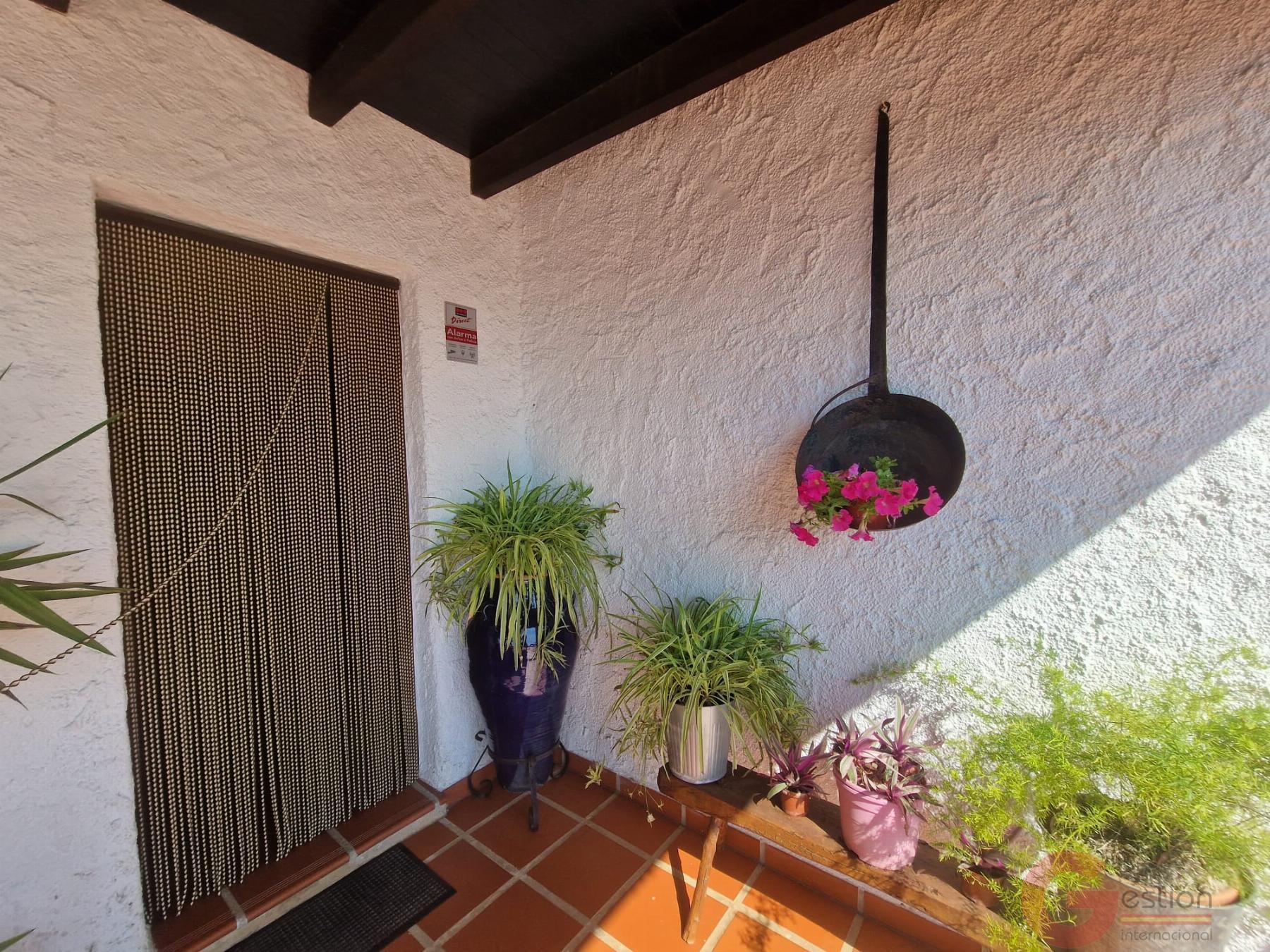 Venta de finca rústica en Salobreña