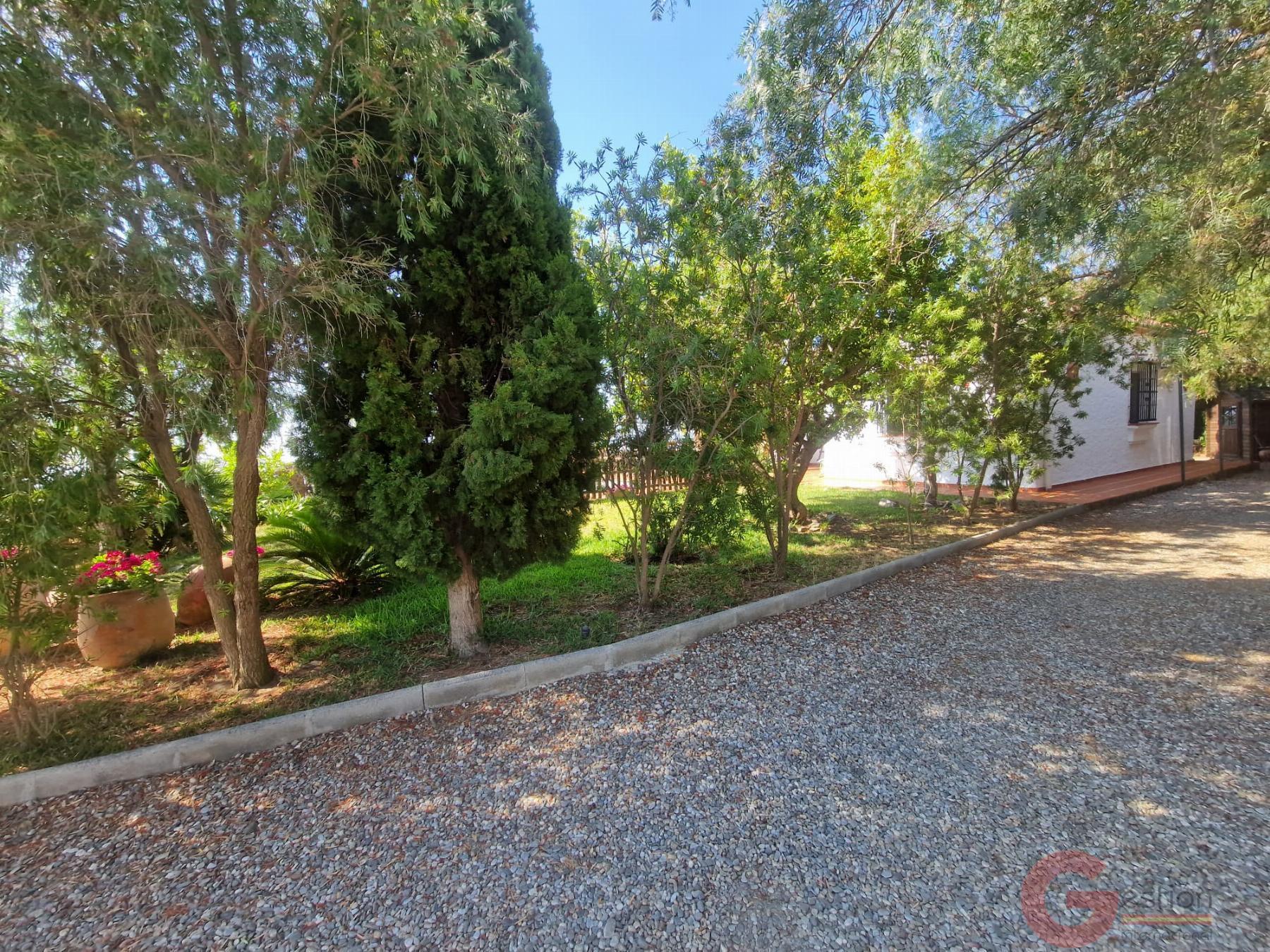 Venta de finca rústica en Salobreña