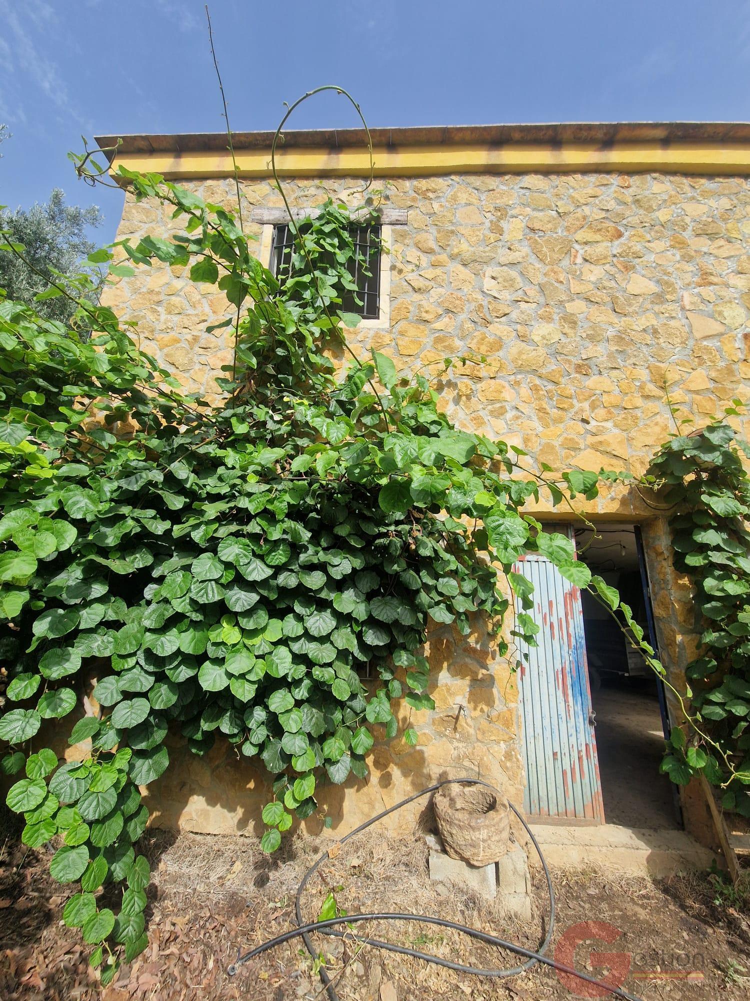 Venta de finca rústica en Lanjarón