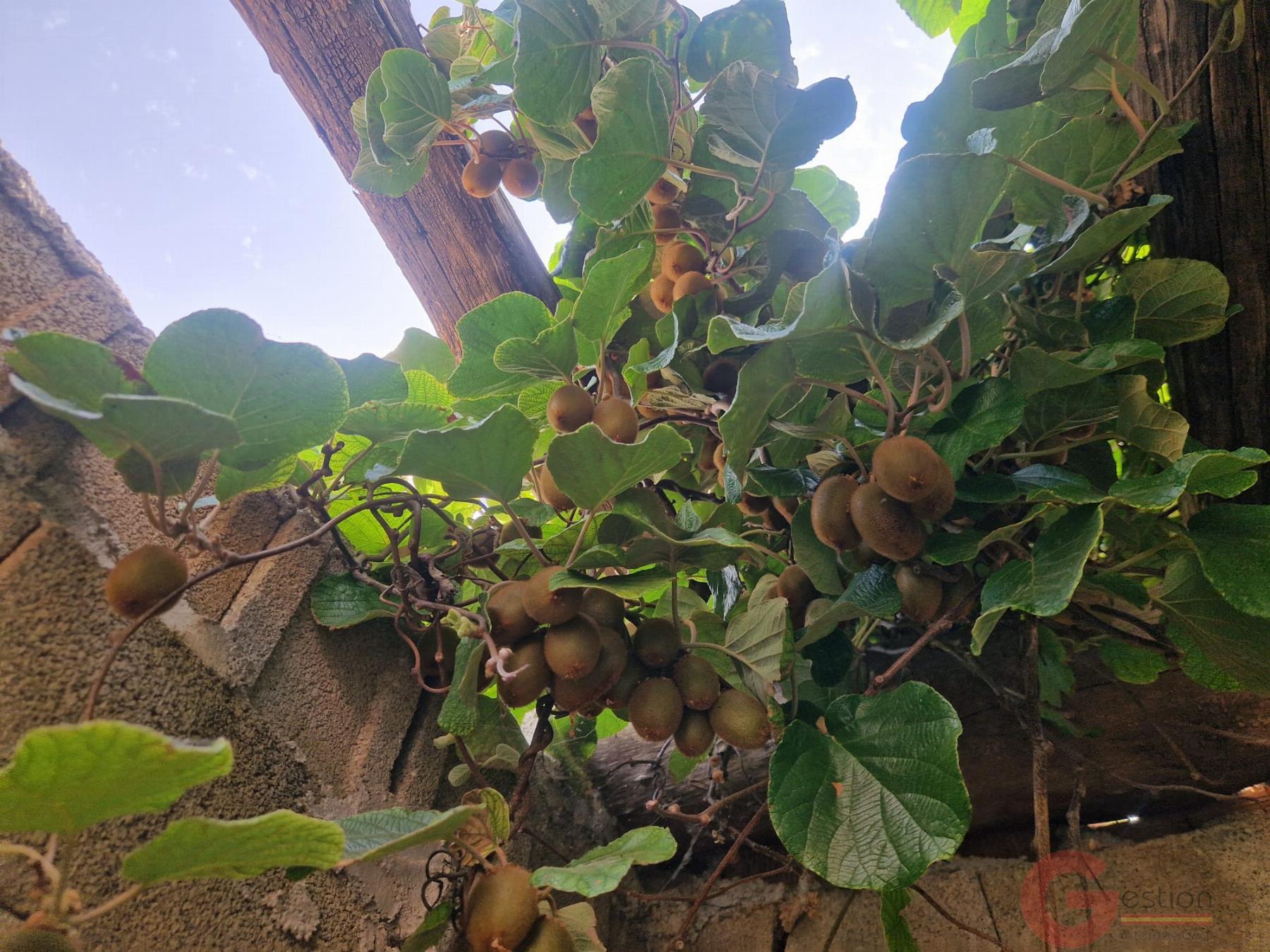 Venta de finca rústica en Lanjarón