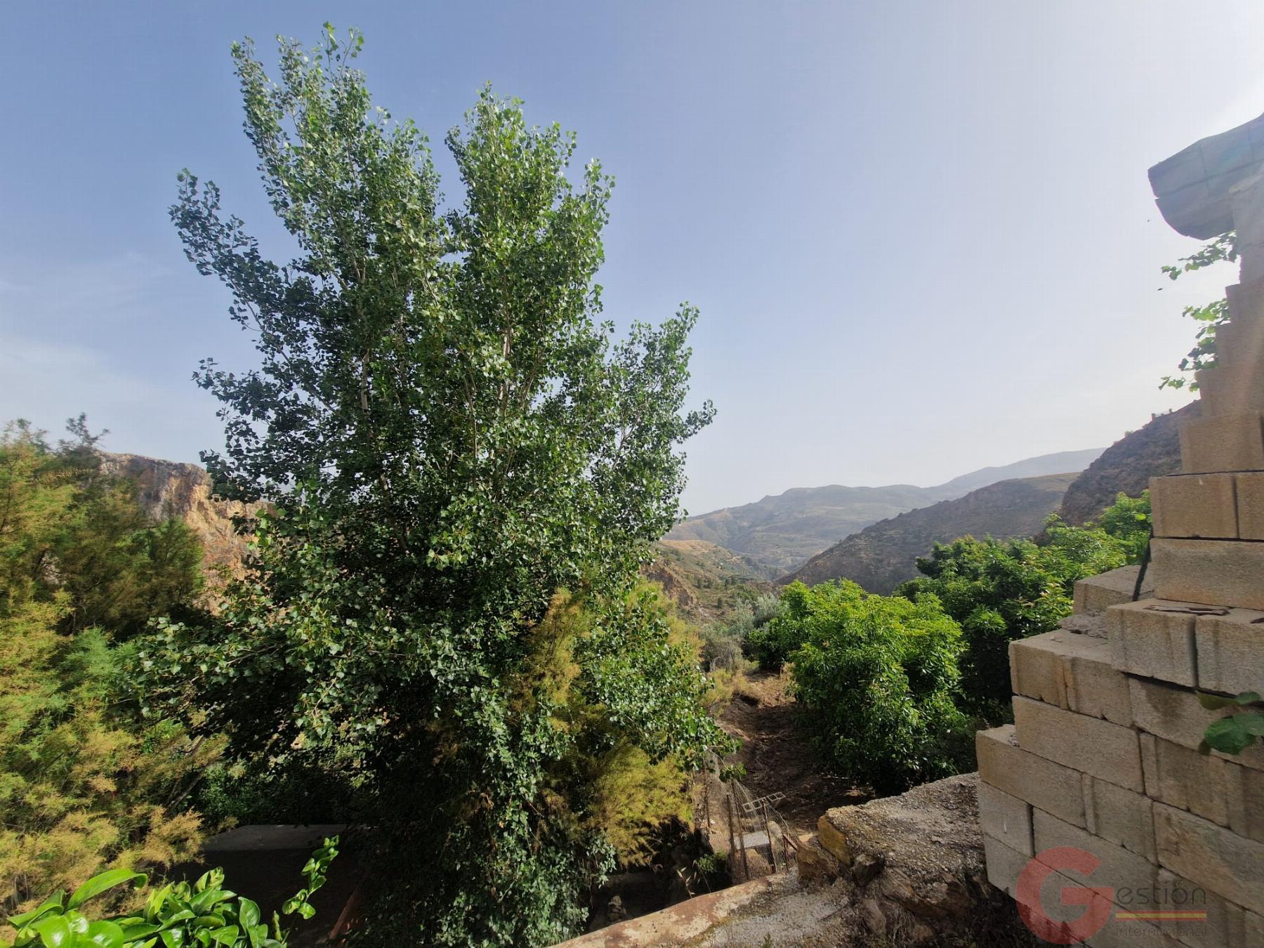 Venta de finca rústica en Lanjarón