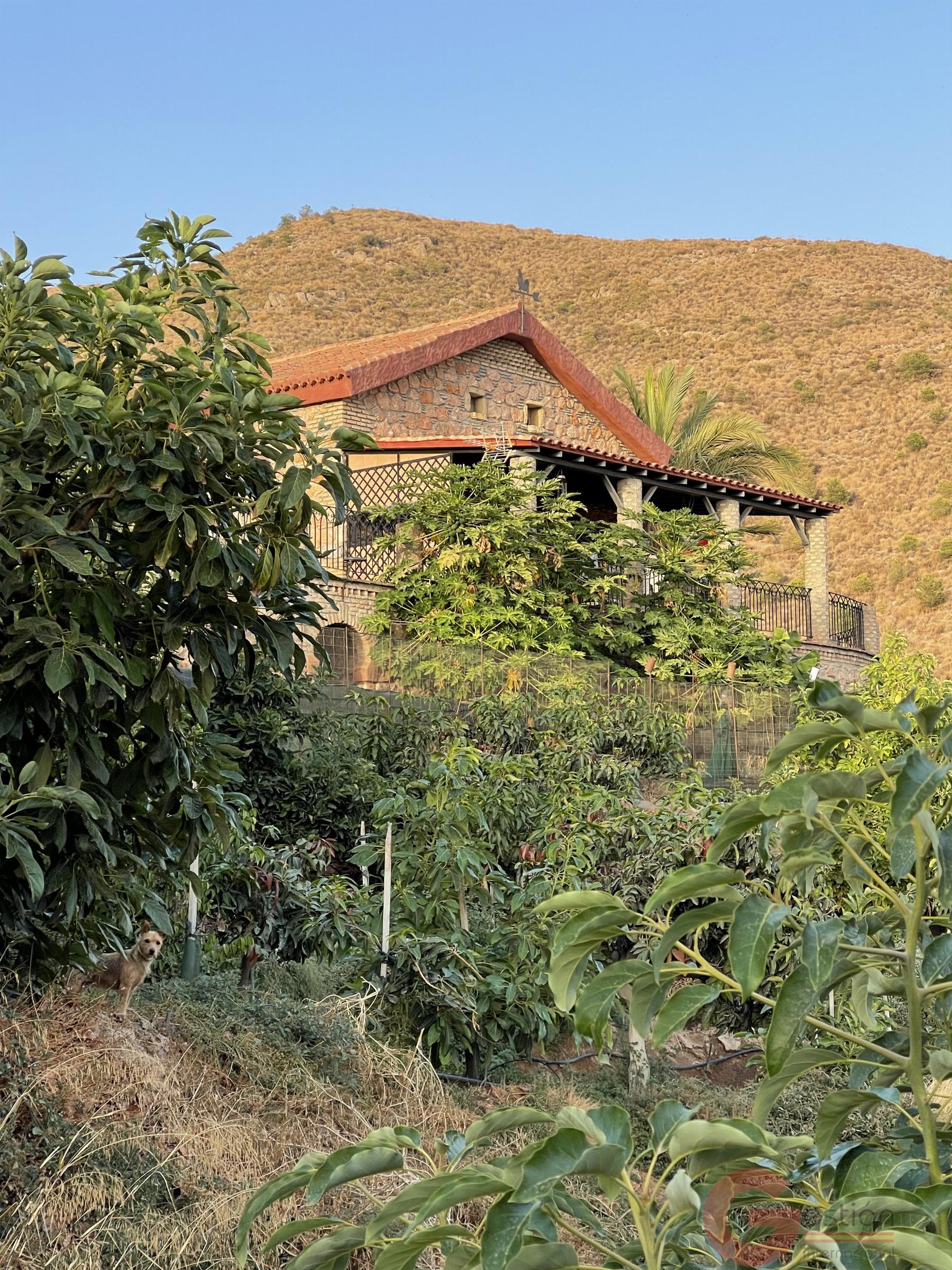 Venta de finca rústica en Lobres