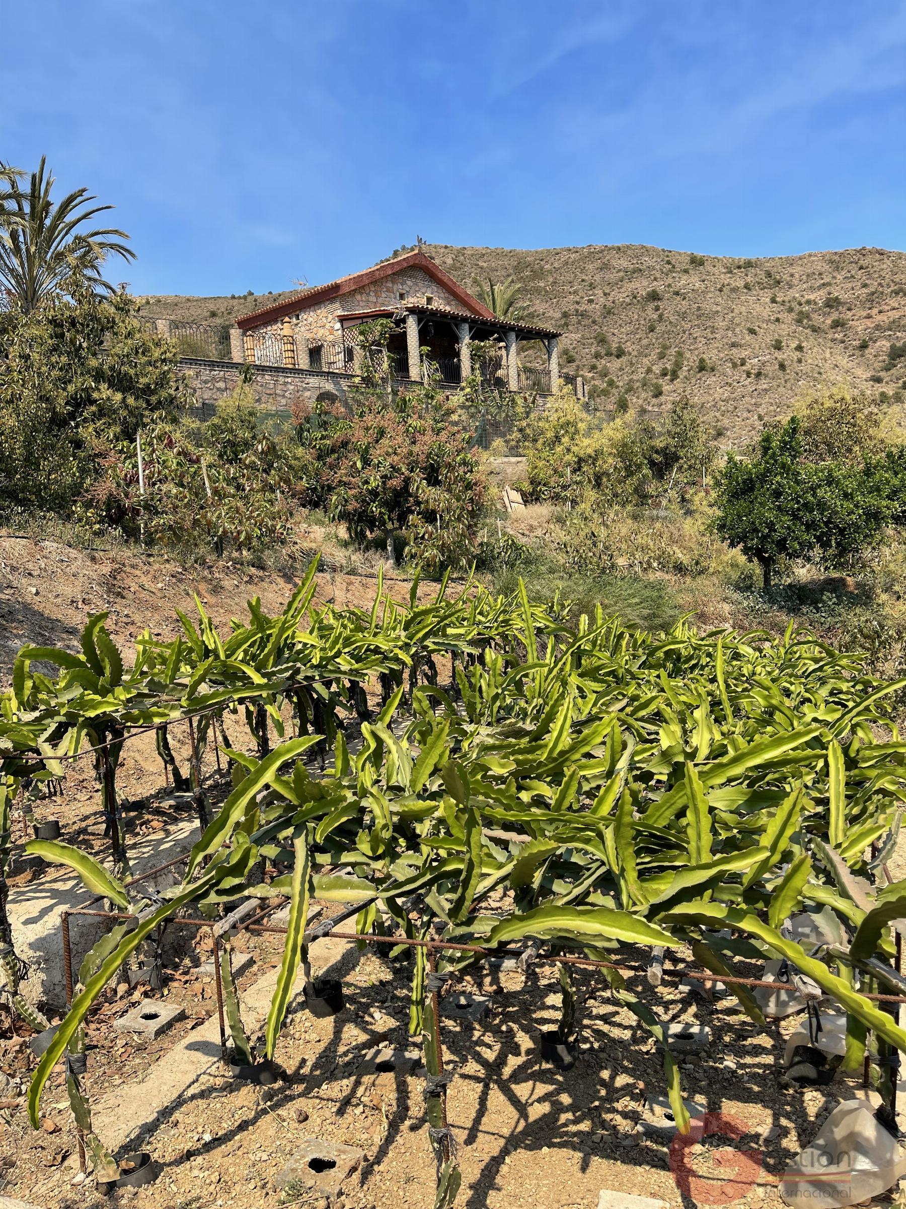 Venta de finca rústica en Lobres