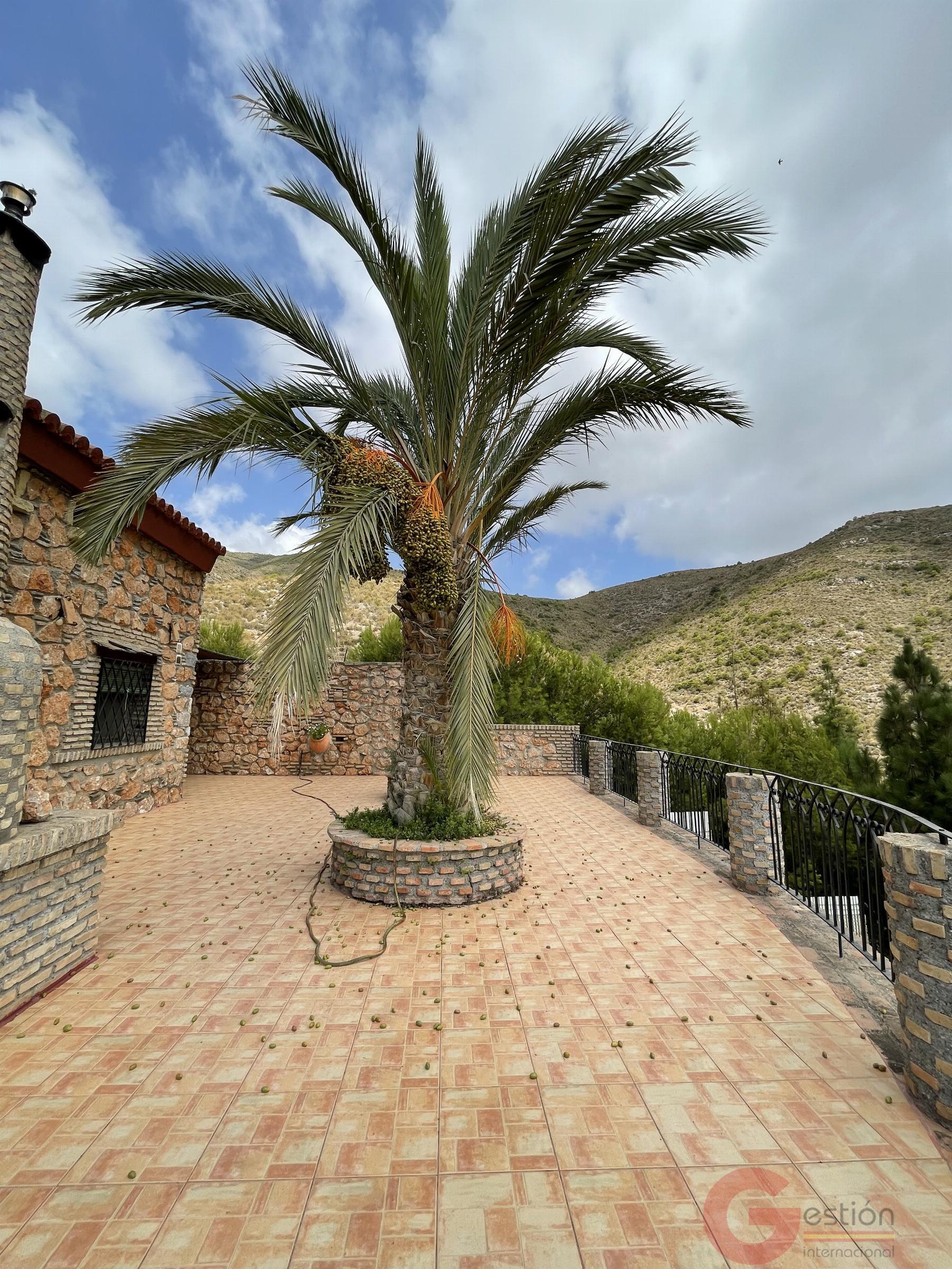 Venta de finca rústica en Lobres