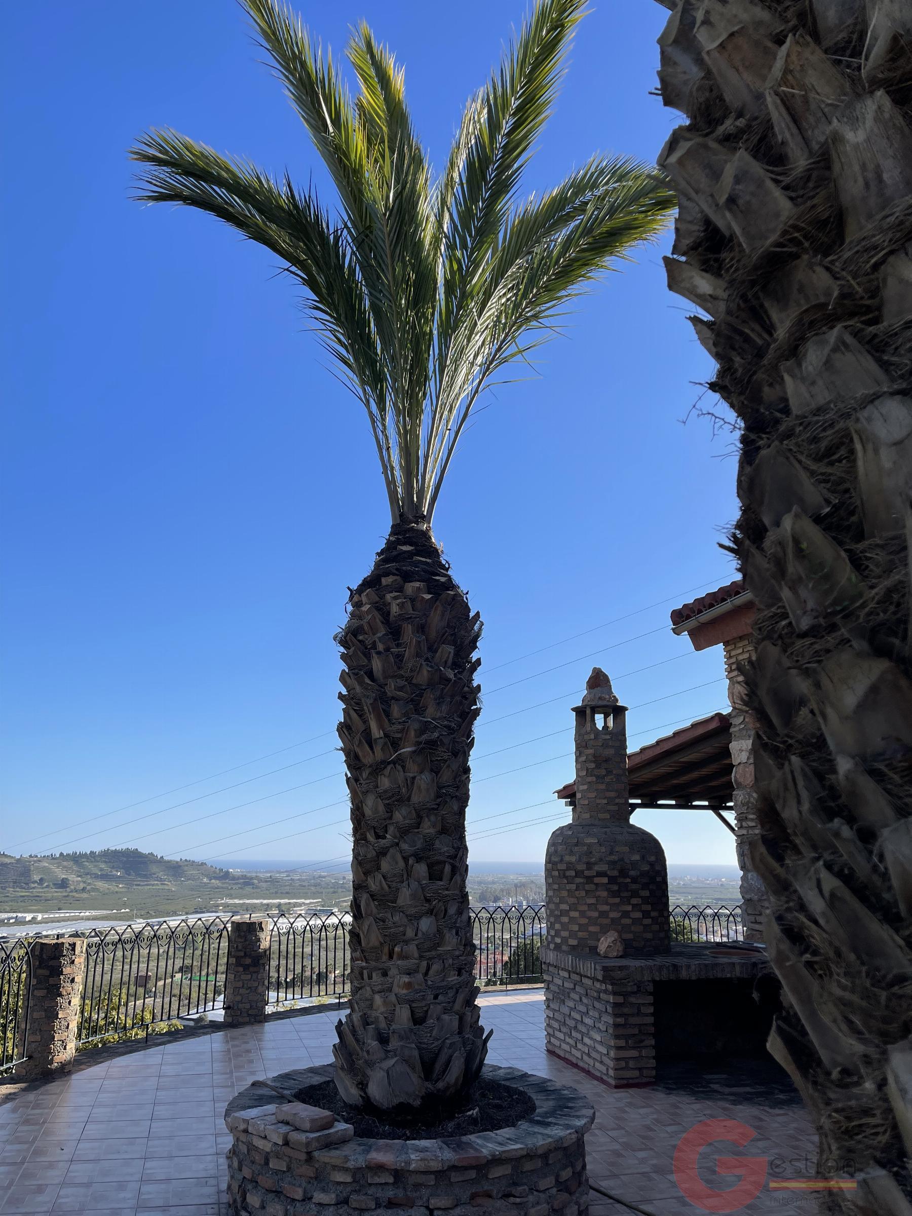 Venta de finca rústica en Lobres