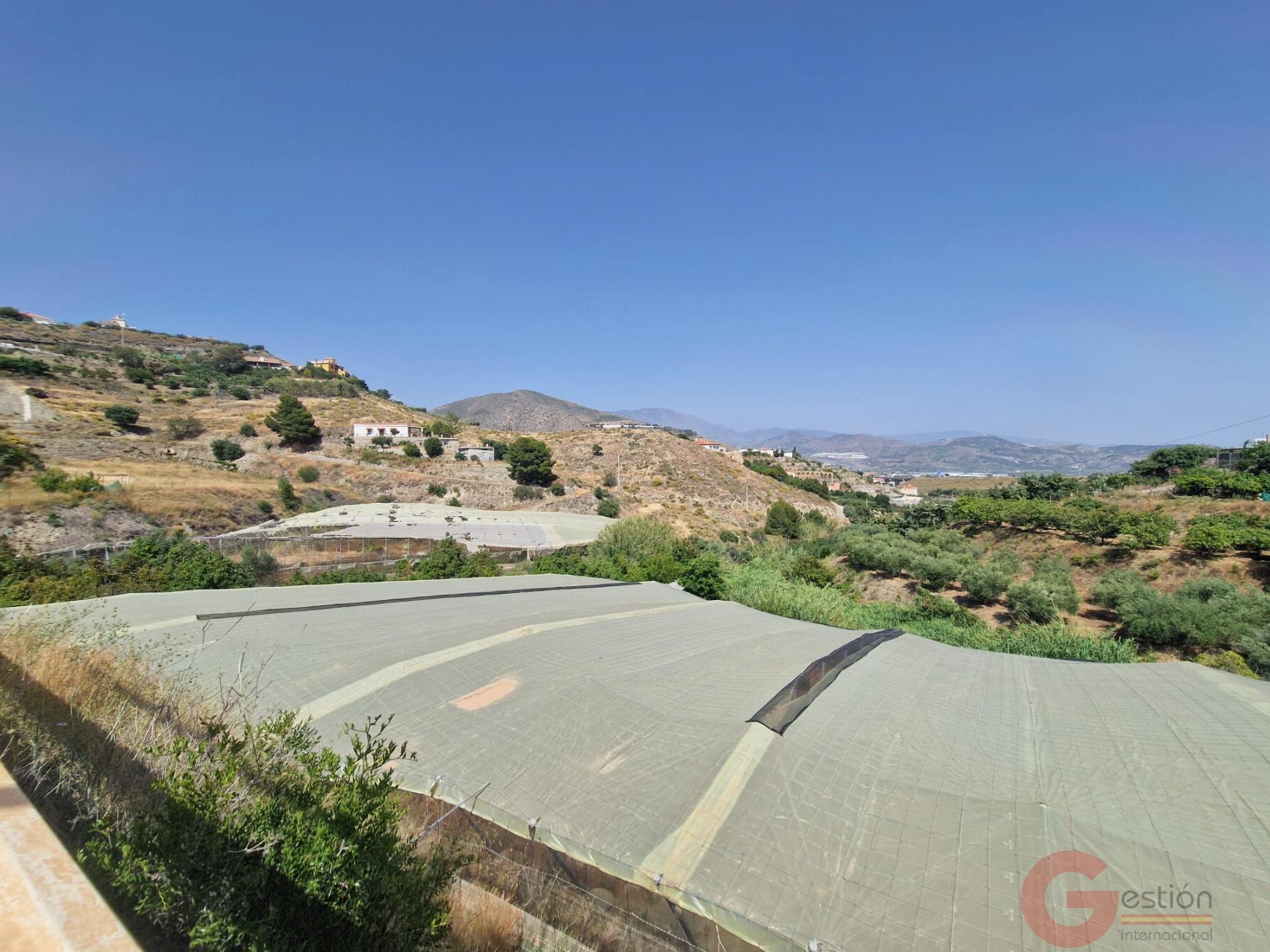 Venta de finca rústica en Salobreña