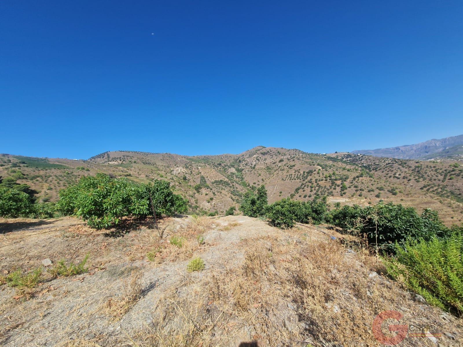 Venta de finca rústica en Itrabo